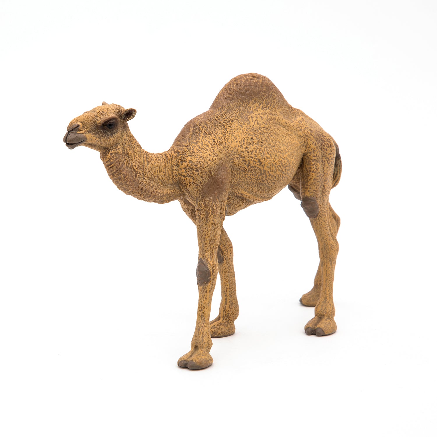 papo-wildlife-dromadaire-figurine-animal-d-sert image 3