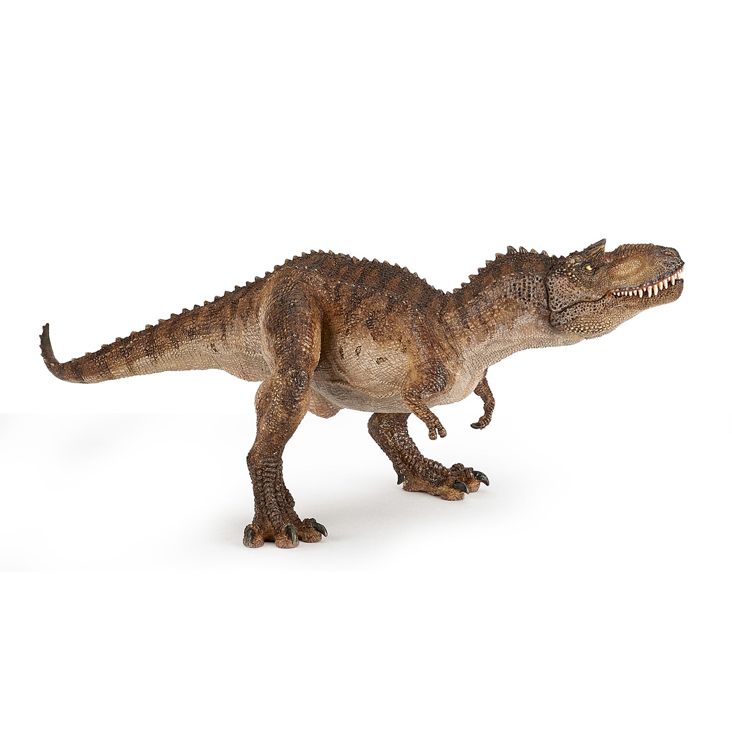 papo-dinosaurs-figurine-gorgosaurus-jouet-carnivore-cr-tac image 3