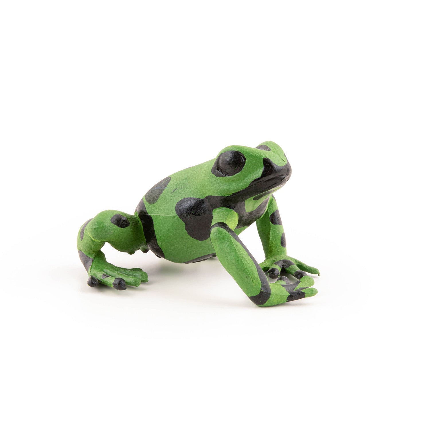 papo-wildlife-figurine-grenouille-quatoriale-verte image 4