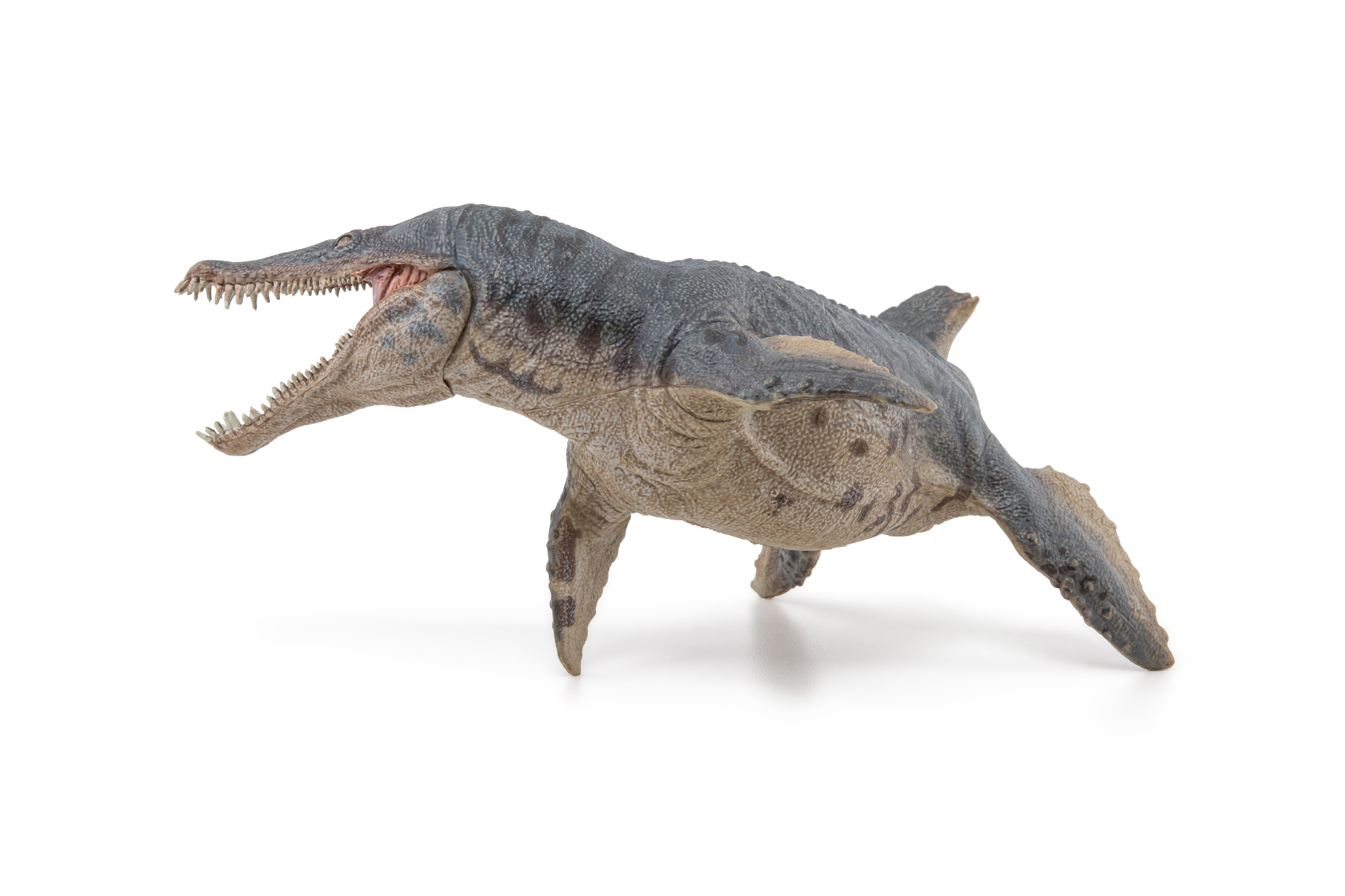 papo-dinosaurs-figurine-kronosaurus-jouet-reptile-marin-cr-tac image 6