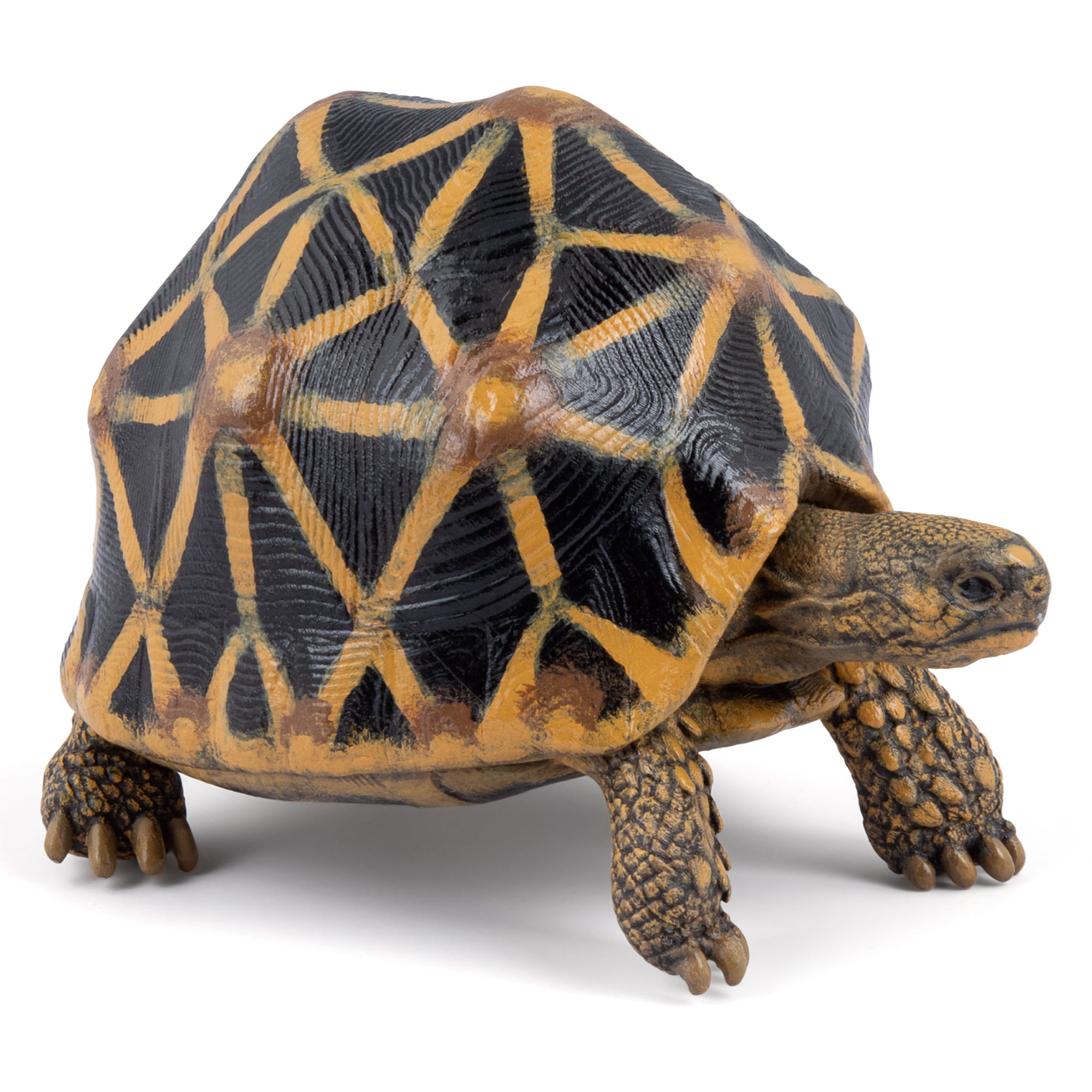 papo-wildlife-figurine-tortue-toil-e-reptile image 1