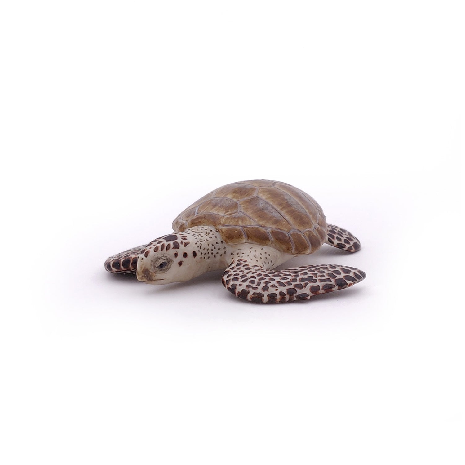 papo-marine-world-tortue-caouanne-figurine-tortue-marine image 3
