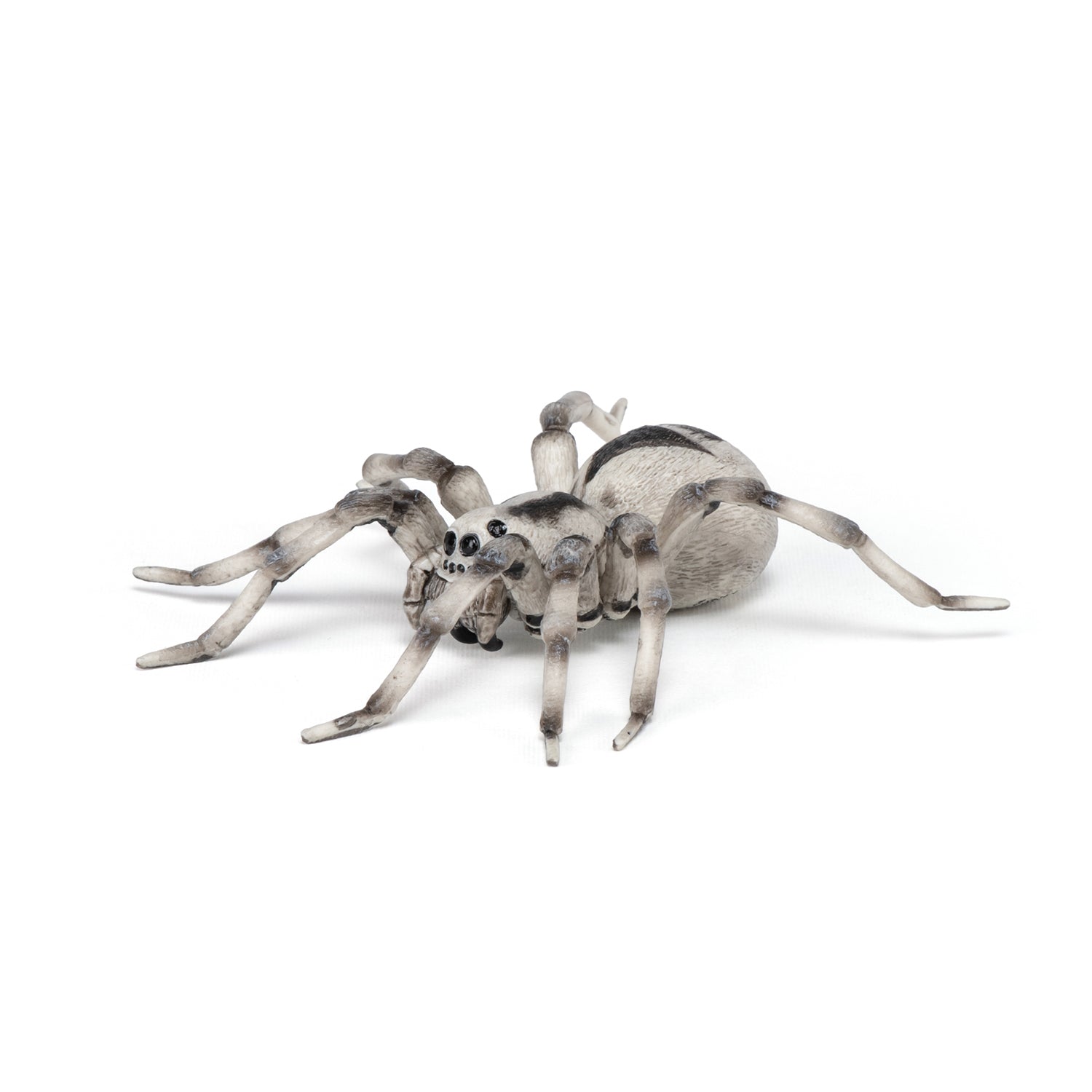 papo-wildlife-tarentule-figurine-araign-e-velue image 2
