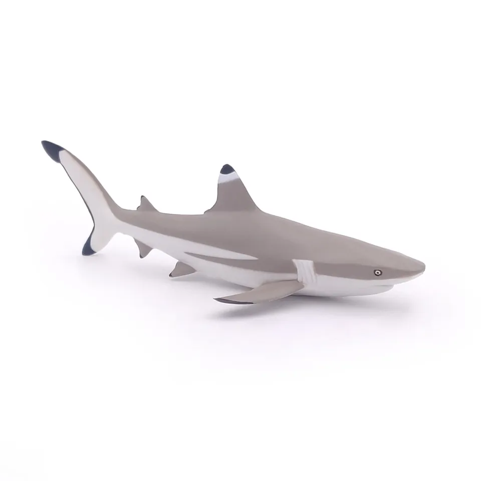 papo-marine-world-requin-pointes-noires-figurine-mer image 1