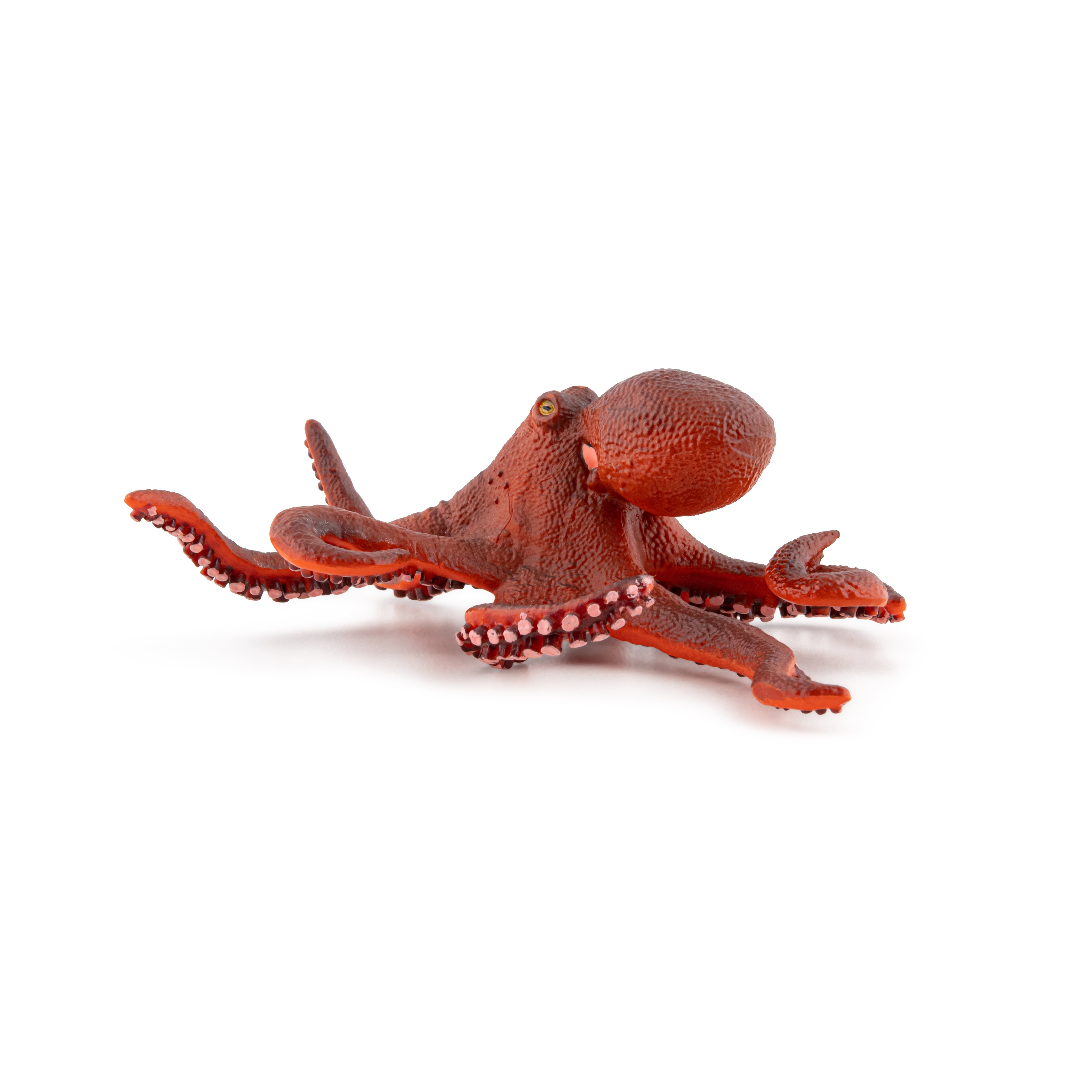 papo-marine-world-figurine-petite-pieuvre-animal-marin image 5
