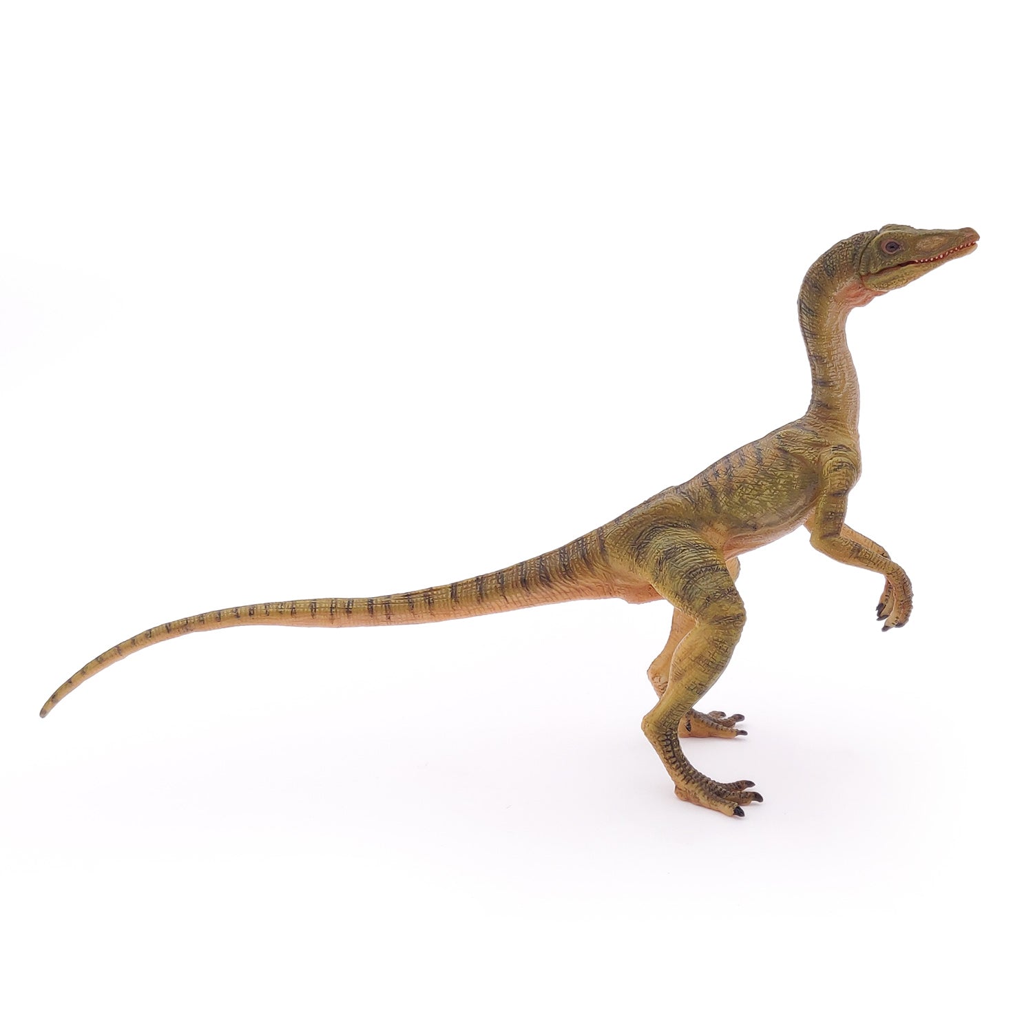 papo-dinosaurs-figurine-compsognathus-jurassique image 4