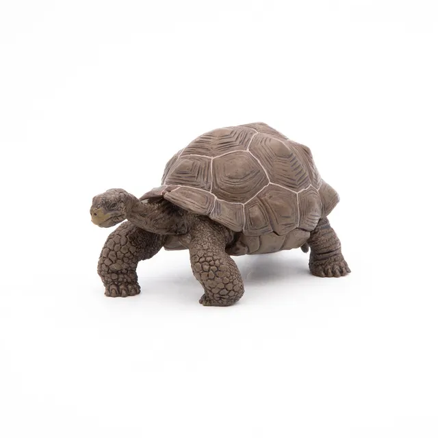 papo-wildlife-tortue-des-galapagos-figurine-reptile-g-ante image 1