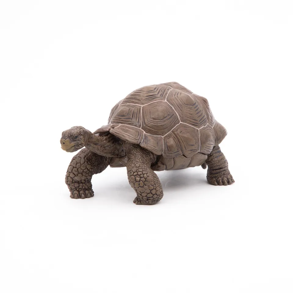 papo-wildlife-tortue-des-galapagos-figurine-reptile-g-ante image 1