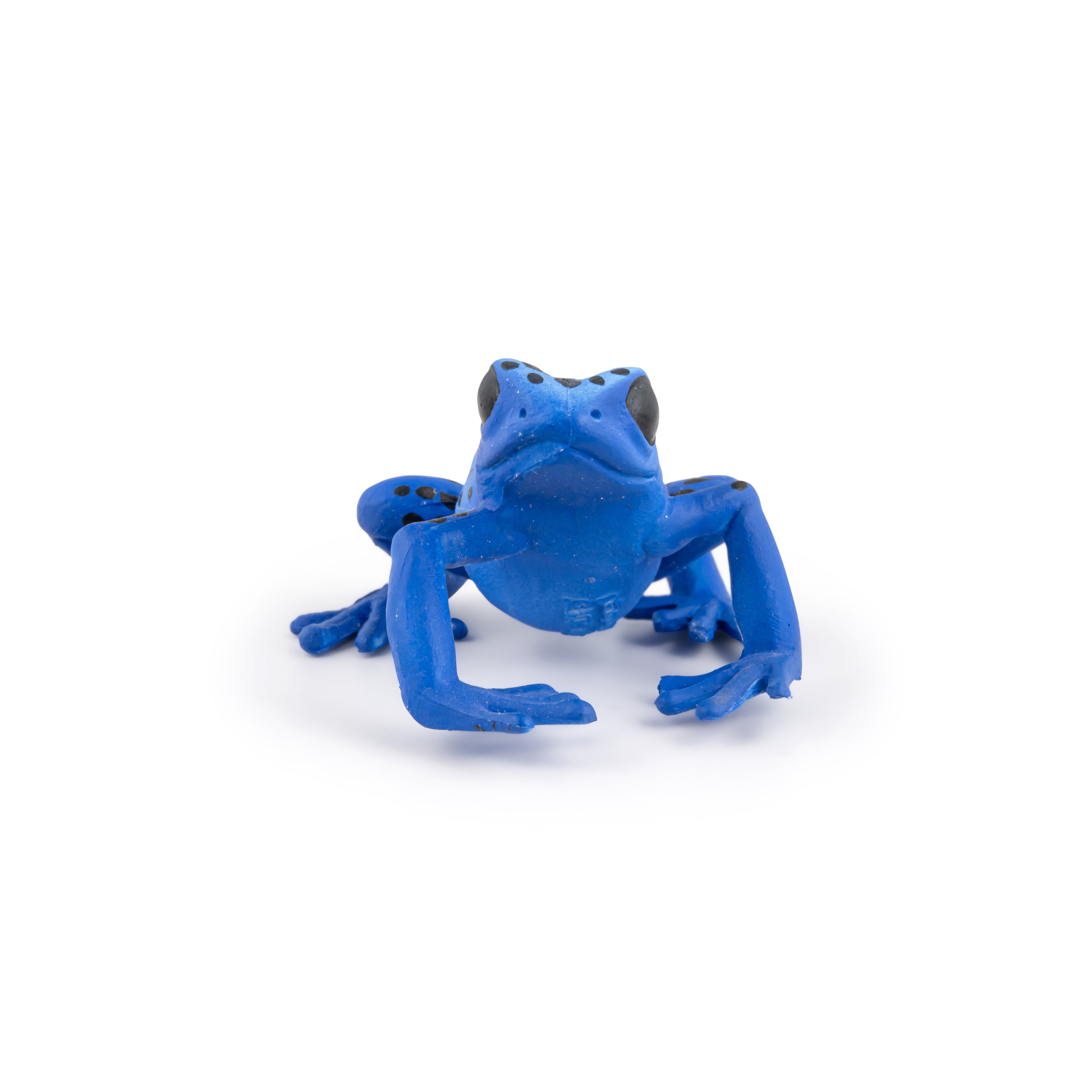 papo-wildlife-grenouille-quatoriale-bleue-figurine-tropicale image 5