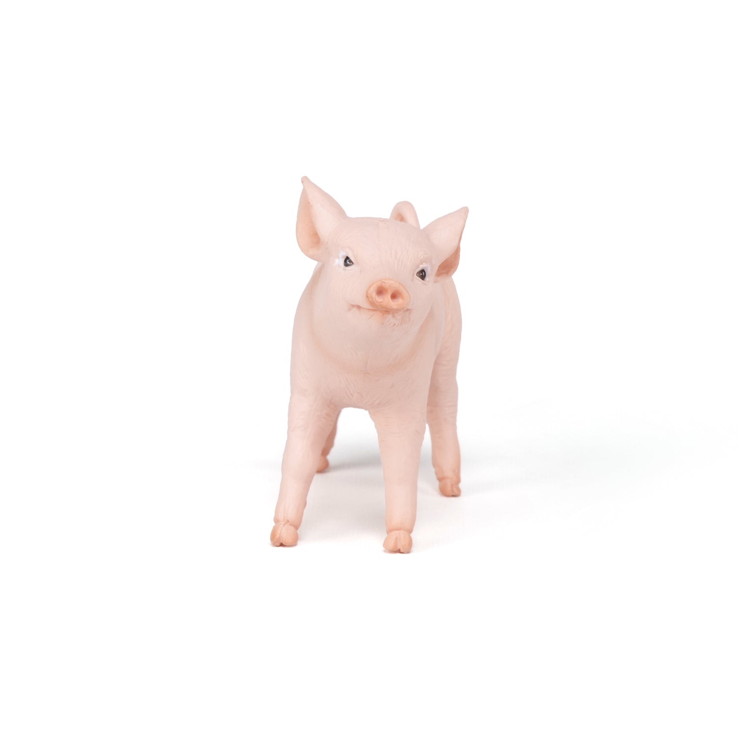 papo-farmyard-friends-cochonnet-femelle-figurine-ferme image 2