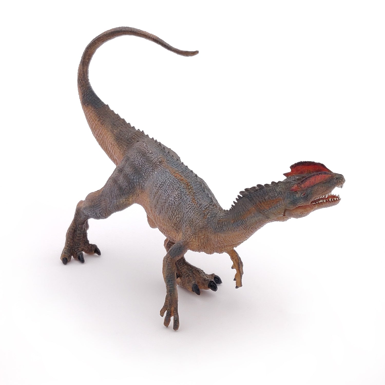 papo-dinosaures-figurine-dilophosaure-carnivore-jurassique image 5