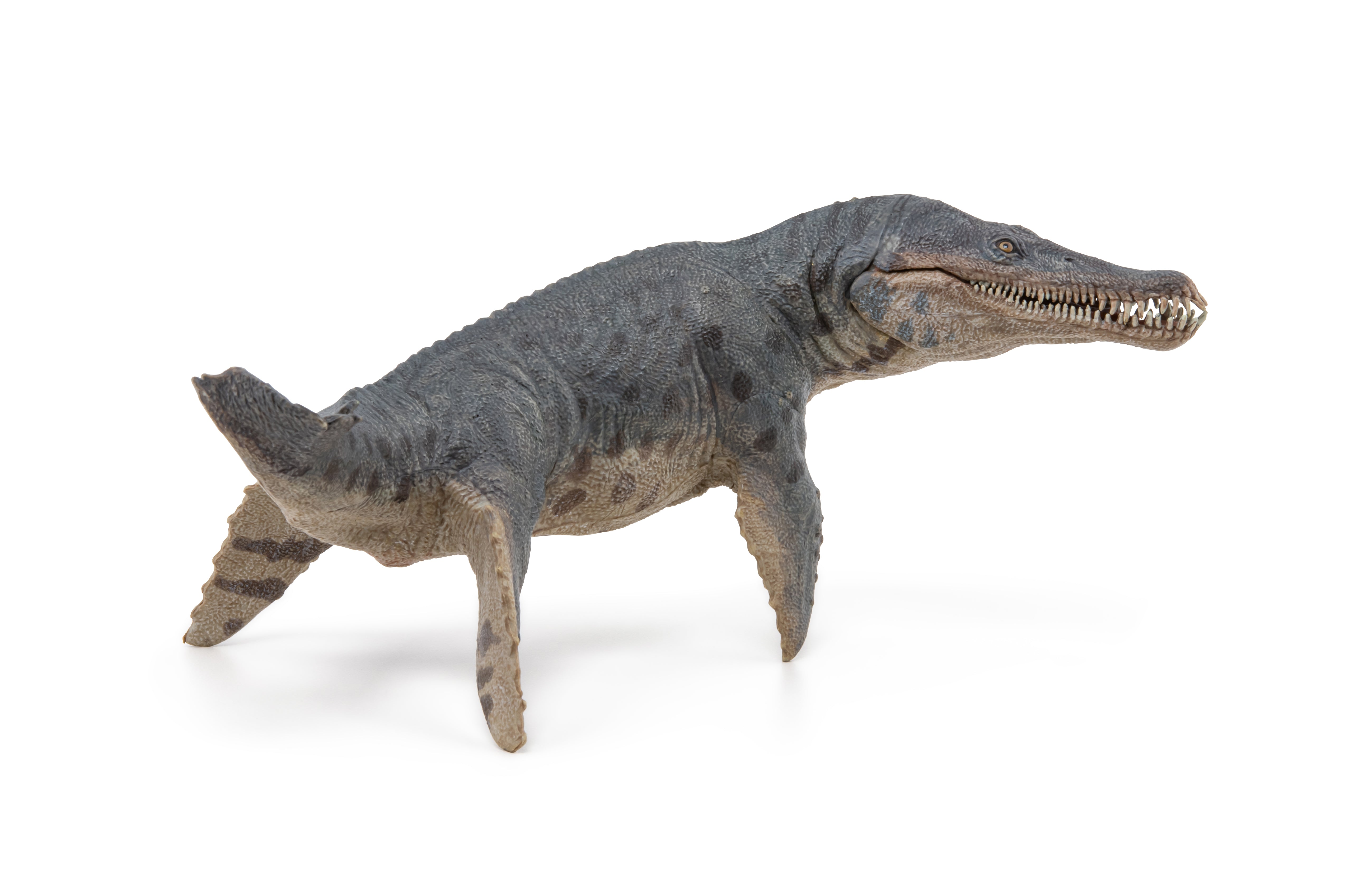 papo-dinosaurs-figurine-kronosaurus-jouet-reptile-marin-cr-tac image 5