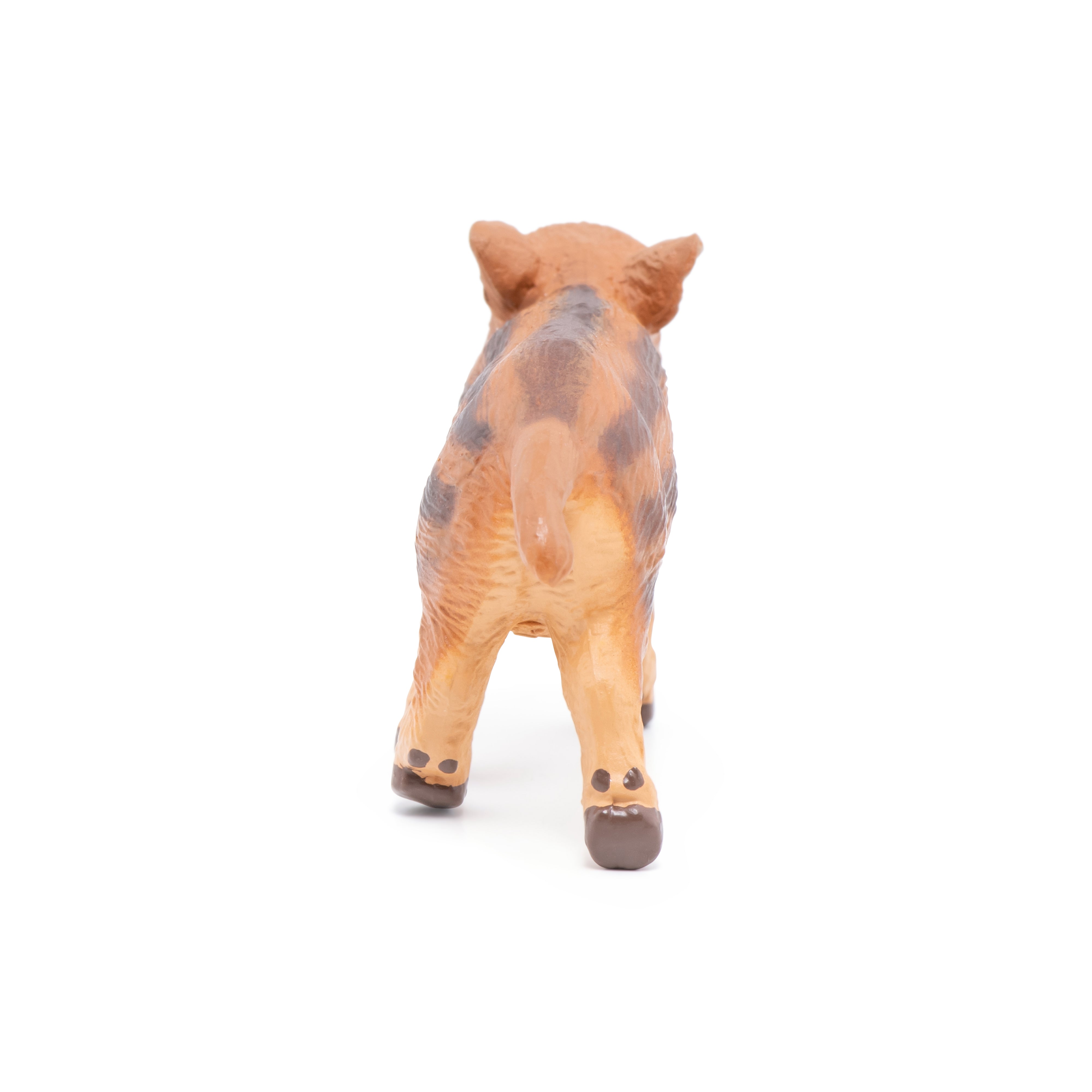 papo-wildlife-marcassin-figurine-for-t-ray-e image 2