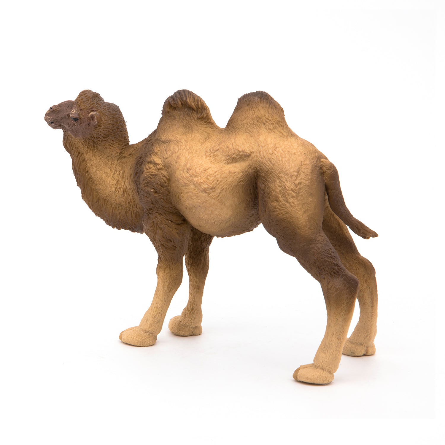 papo-wildlife-chameau-de-bactriane-figurine-d-sert image 8