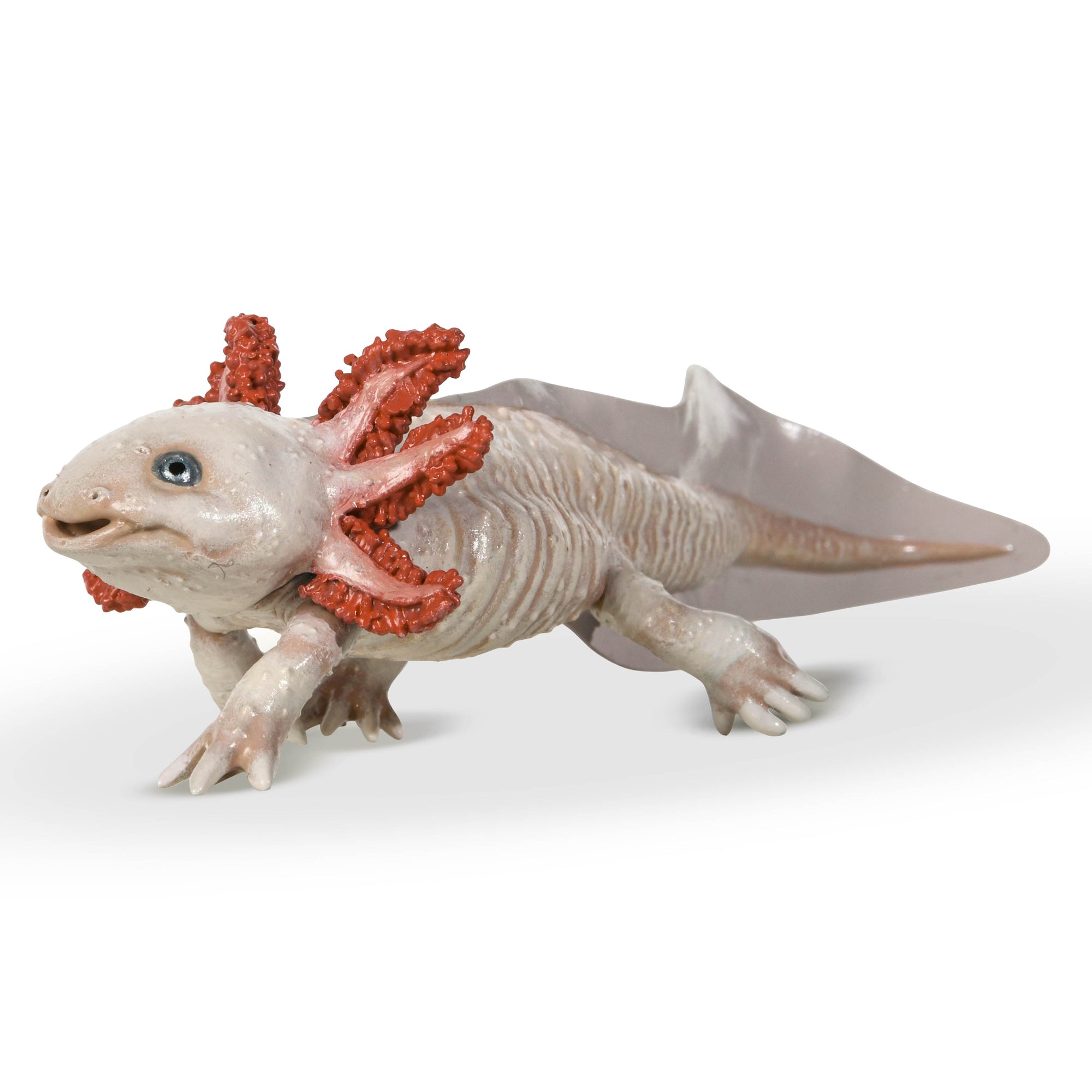 papo-wildlife-axolotl-figurine-amphibien-mexique image 3