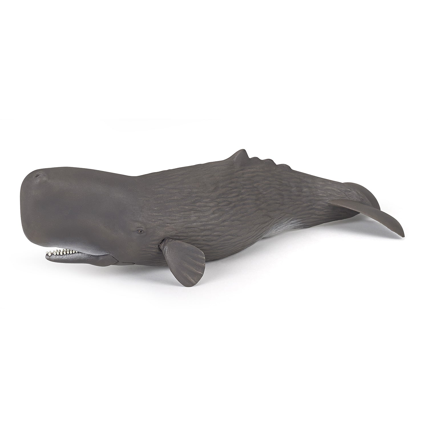 papo-marine-world-cachalot-figurine-animal-marin image 1