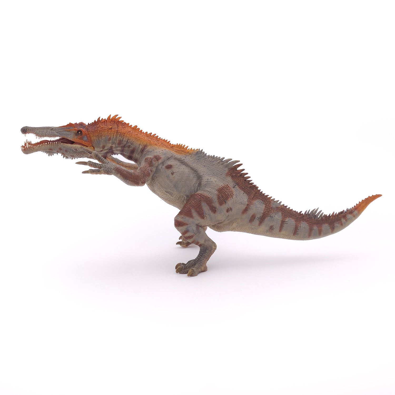 papo-dinosaurs-baryonyx-figurine-dinosaure-carnivore-cr-tac image 4
