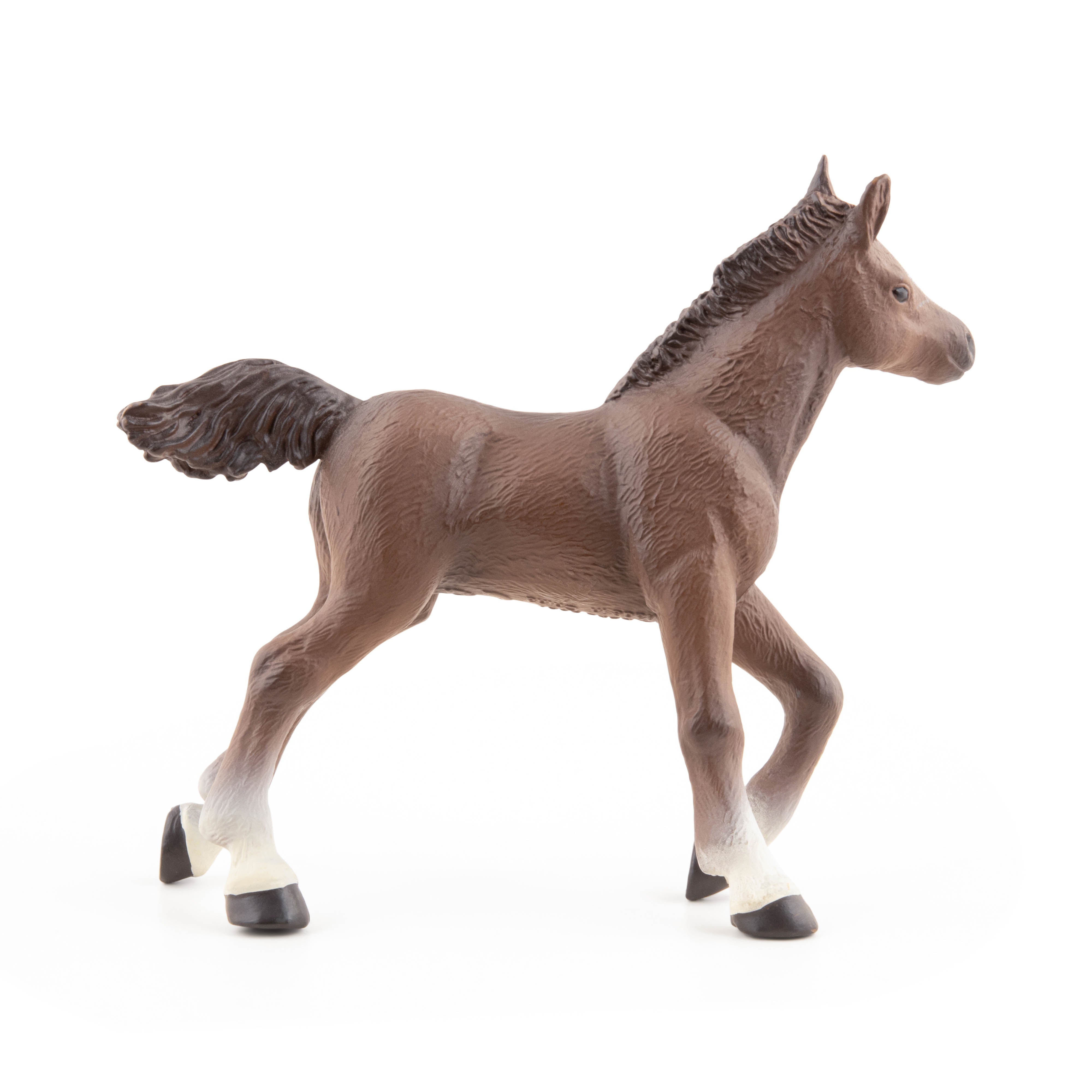 papo-chevaux-poulain-anglo-arabe-figurine-bai image 5
