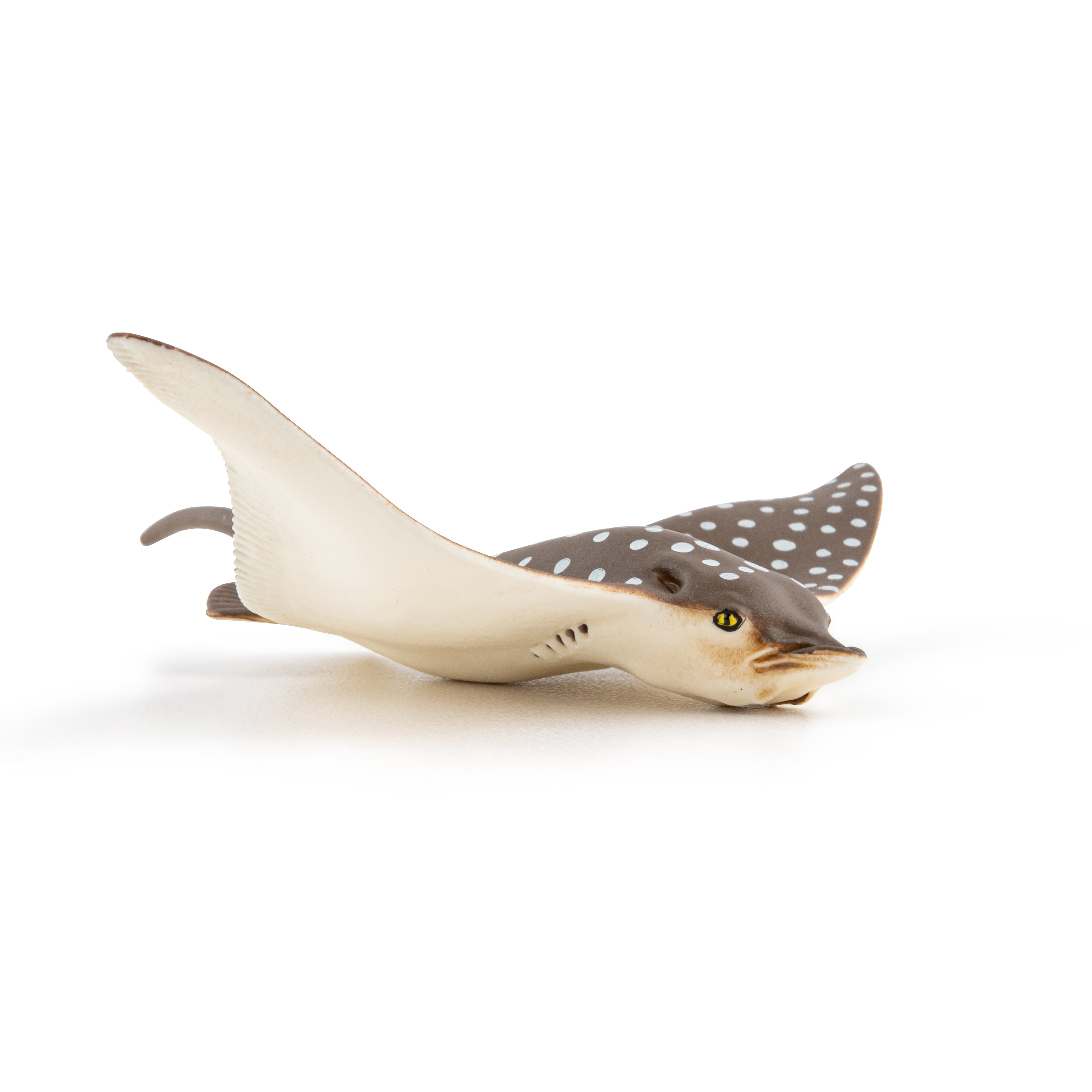 papo-marine-world-raie-l-opard-figurine-marine image 6