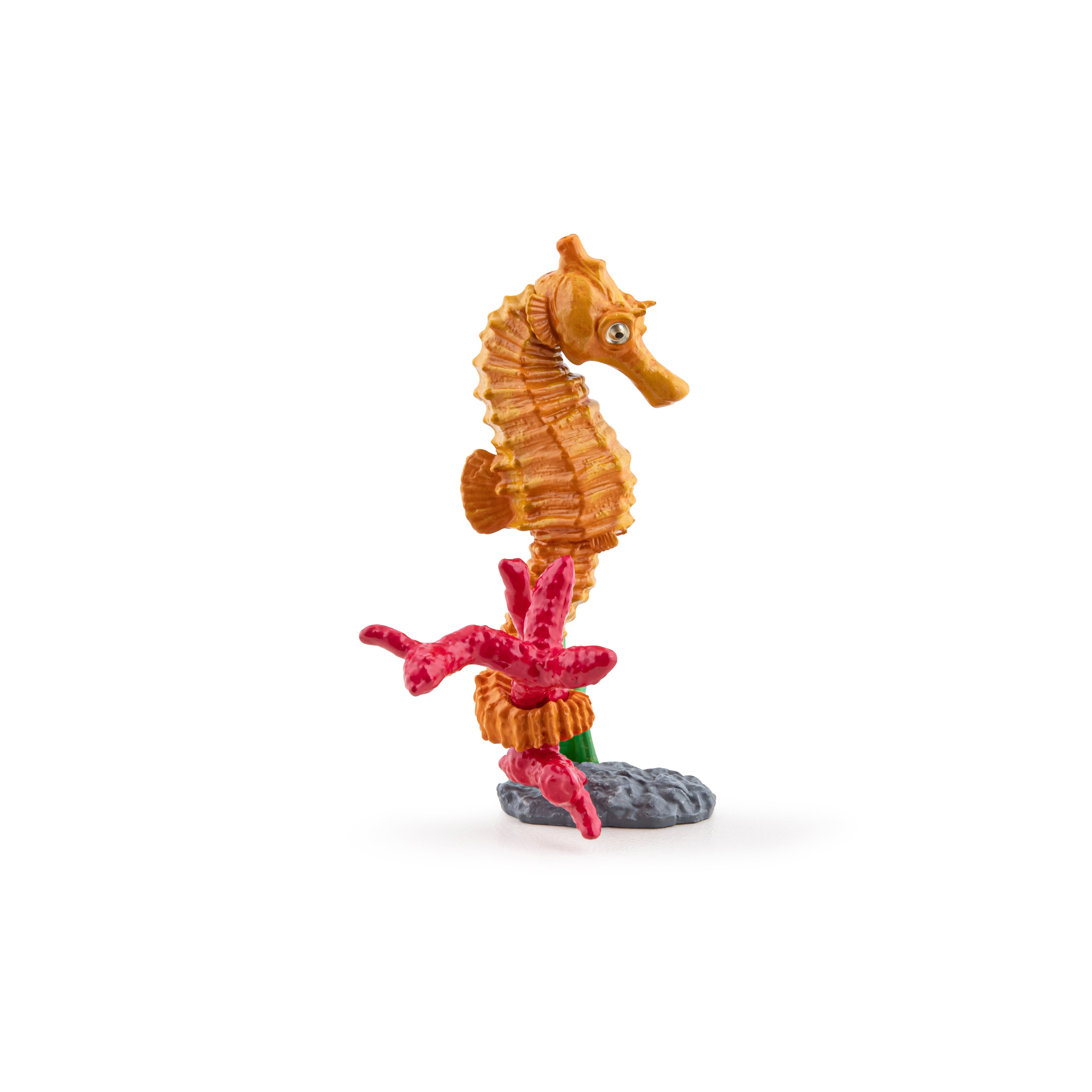 papo-marine-world-figurine-hippocampe-animaux-marins image 2