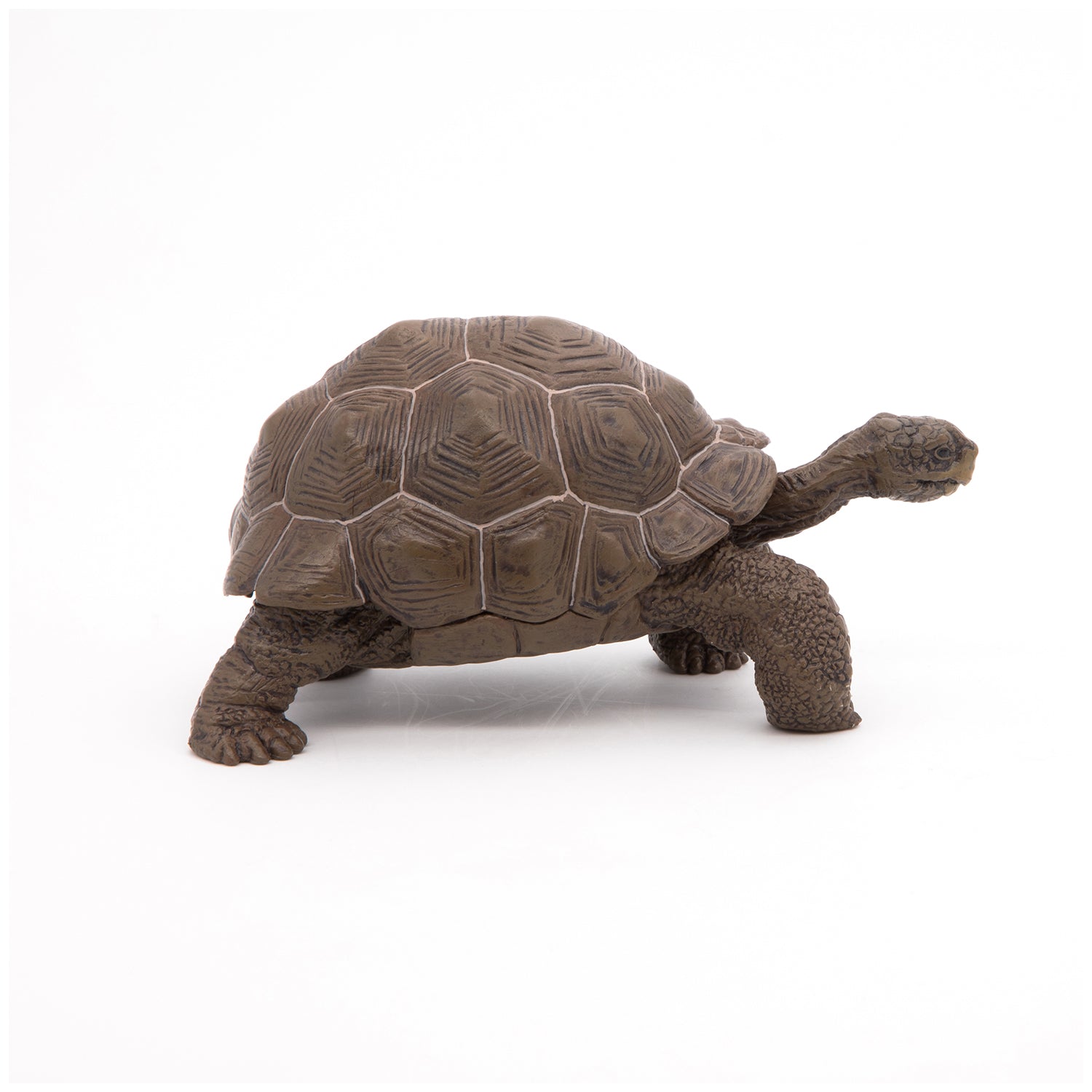 papo-wildlife-tortue-des-galapagos-figurine-reptile-g-ante image 3