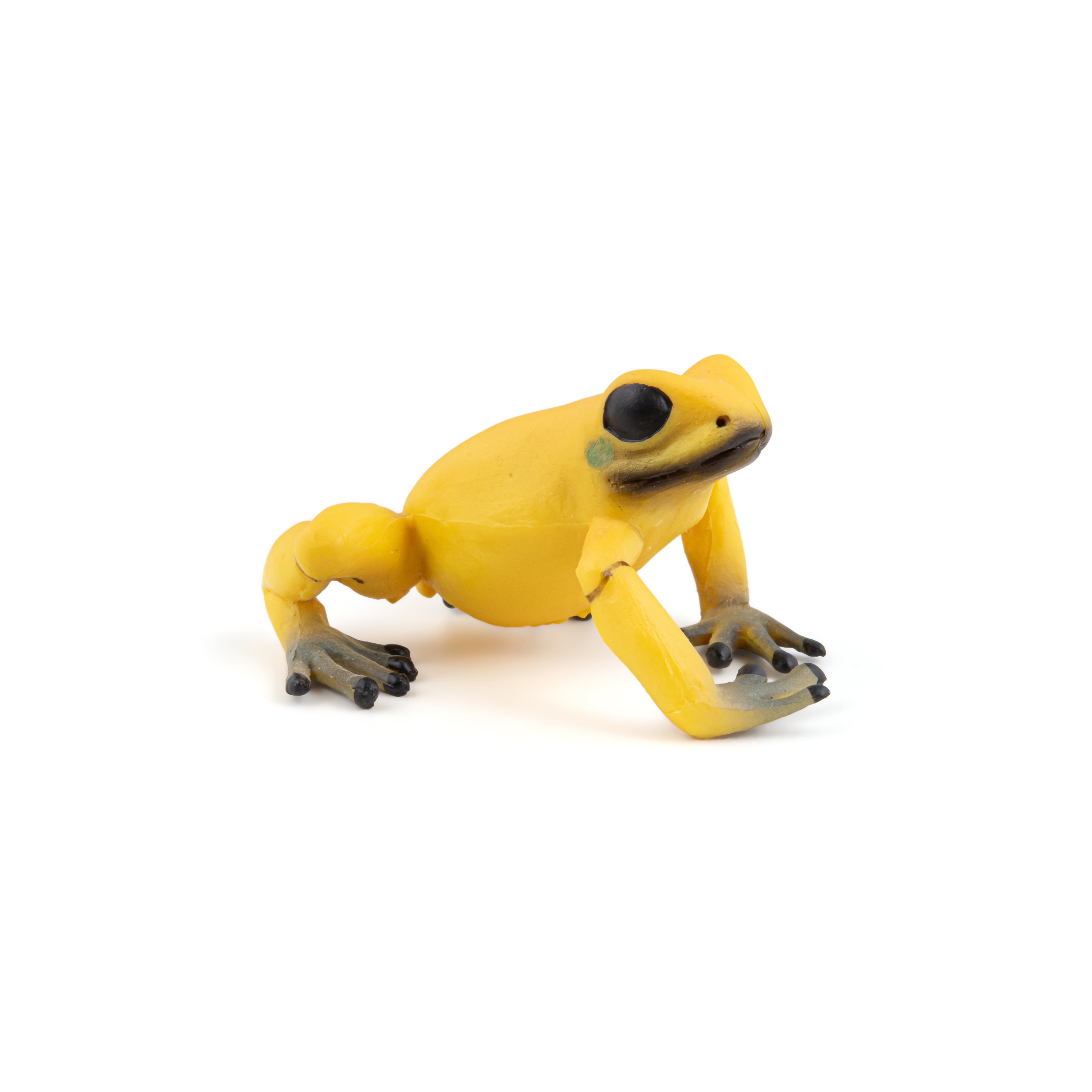 papo-wildlife-grenouille-quatoriale-jaune-figurine-amphibien image 5
