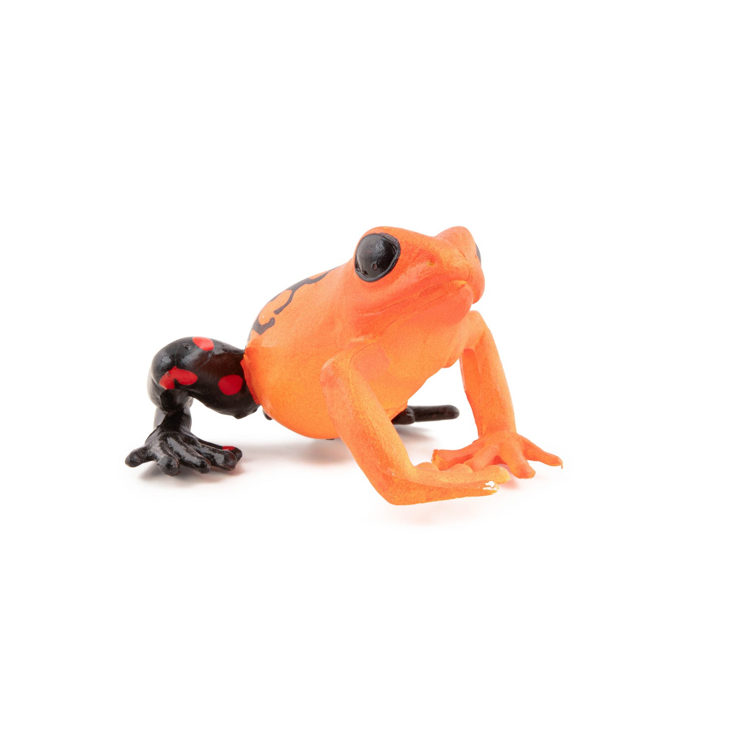 papo-wildlife-grenouille-quatoriale-rouge-figurine image 4
