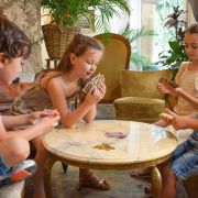 blue-orange-who-did-it-jeu-de-cartes-ambiance-animaux image 5