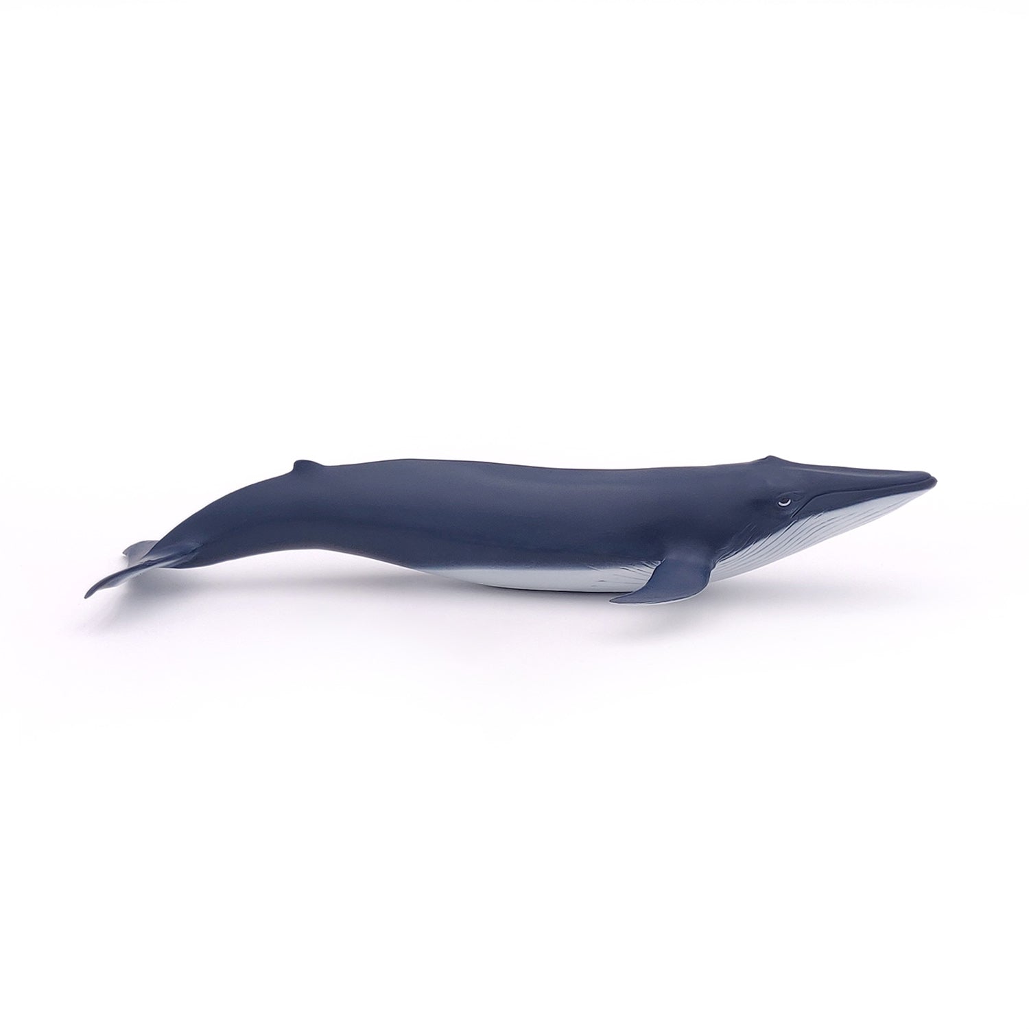 papo-marine-world-figurine-b-b-baleine-bleue image 3