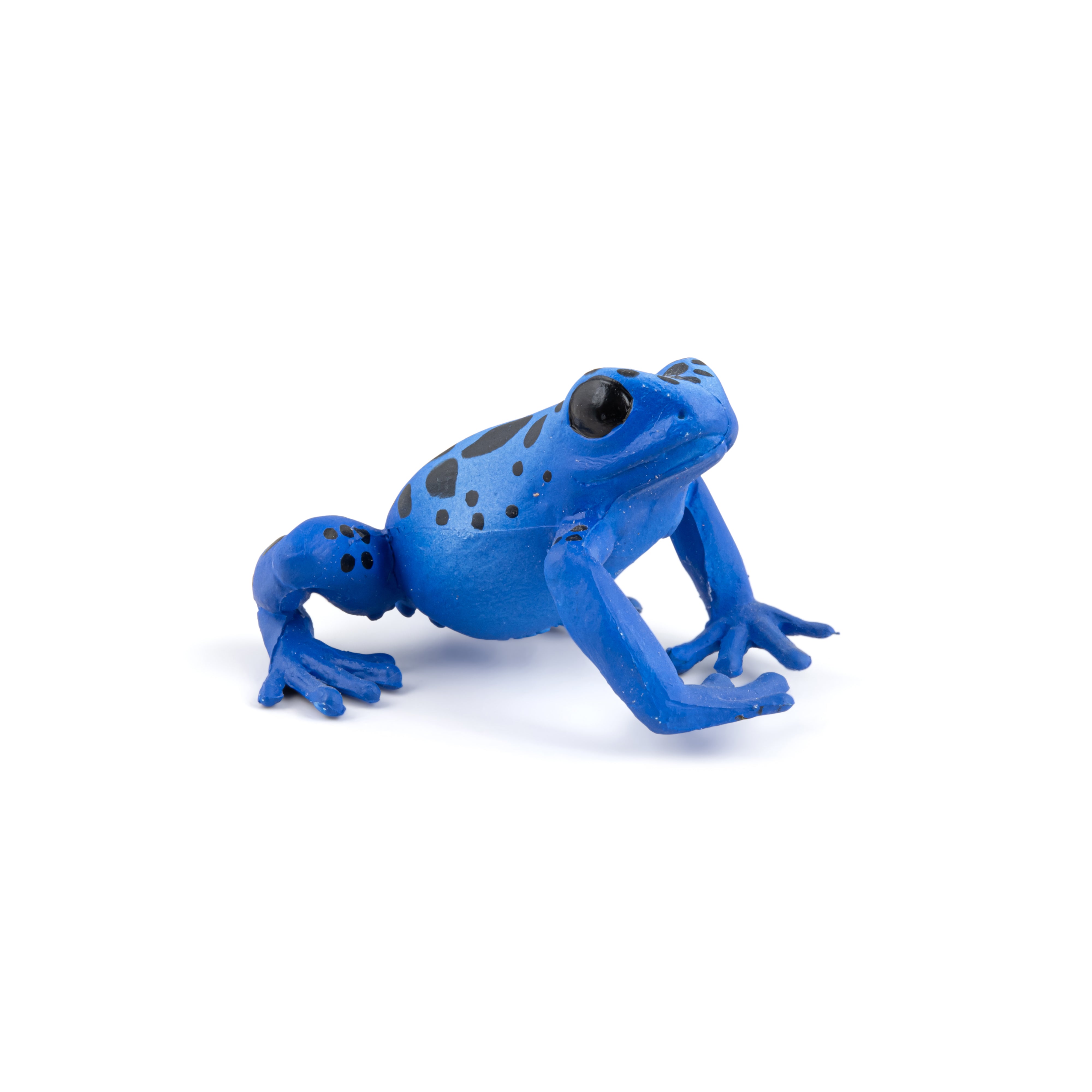 papo-wildlife-grenouille-quatoriale-bleue-figurine-tropicale image 4