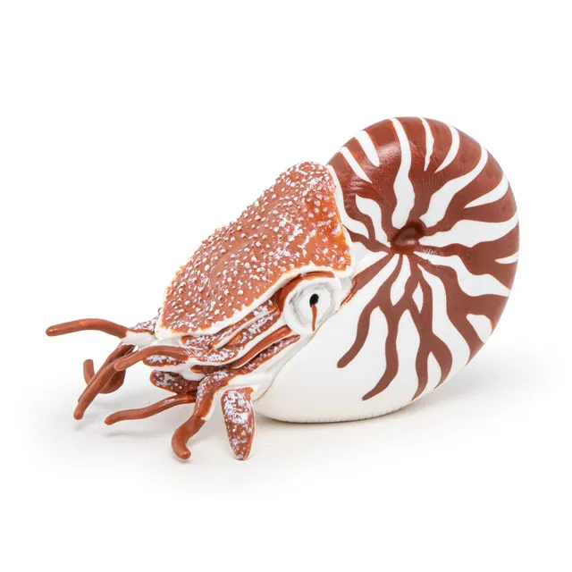 papo-marine-world-nautile-figurine-coquille-spiral-e image 1