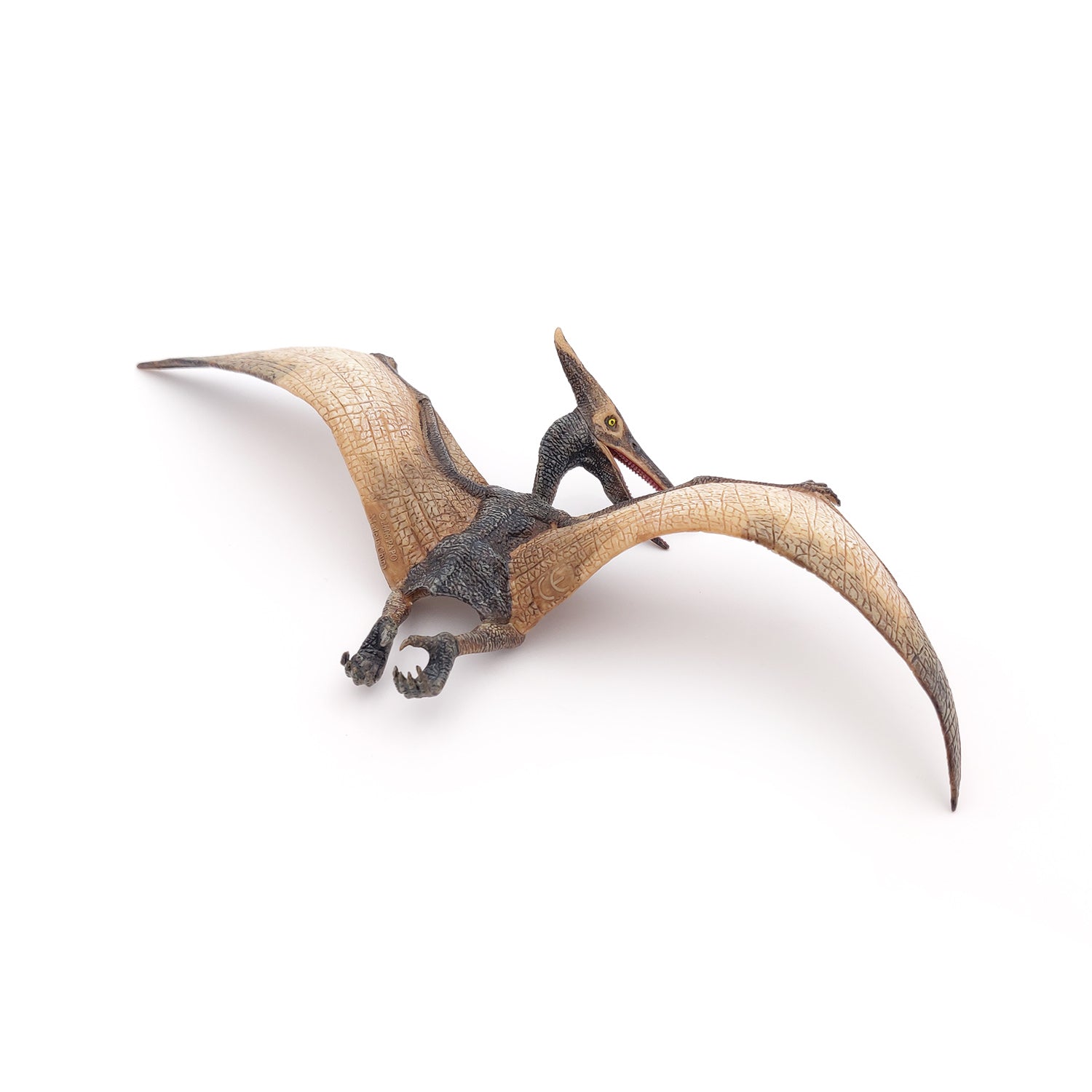 papo-dinosaurs-pt-ranodon-figurine-reptile-volant image 4