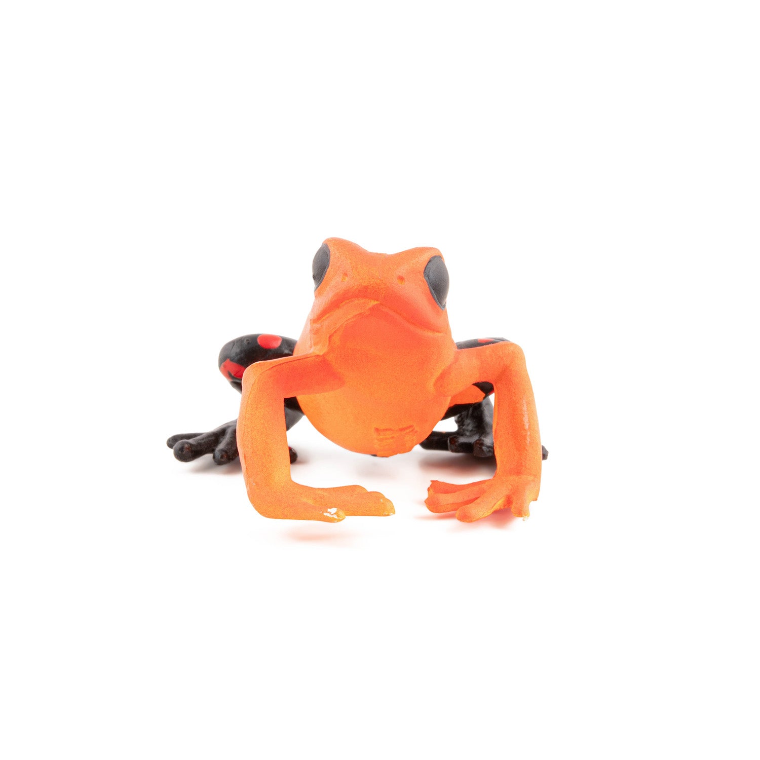papo-wildlife-grenouille-quatoriale-rouge-figurine image 3