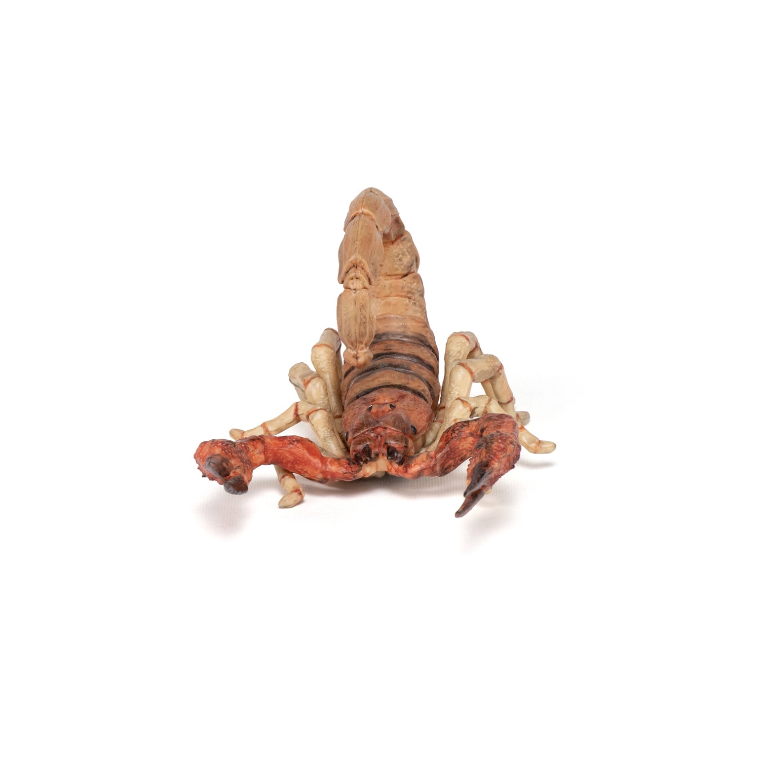 papo-wildlife-scorpion-figurine-animal-sauvage-d-sert image 7