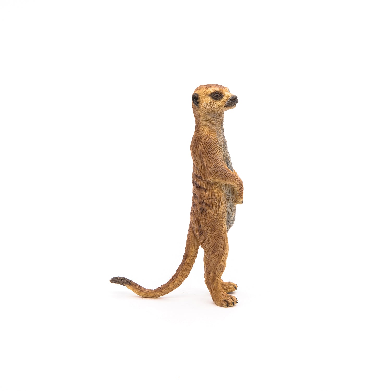 papo-wildlife-figurine-suricate-debout-animal-savane image 3