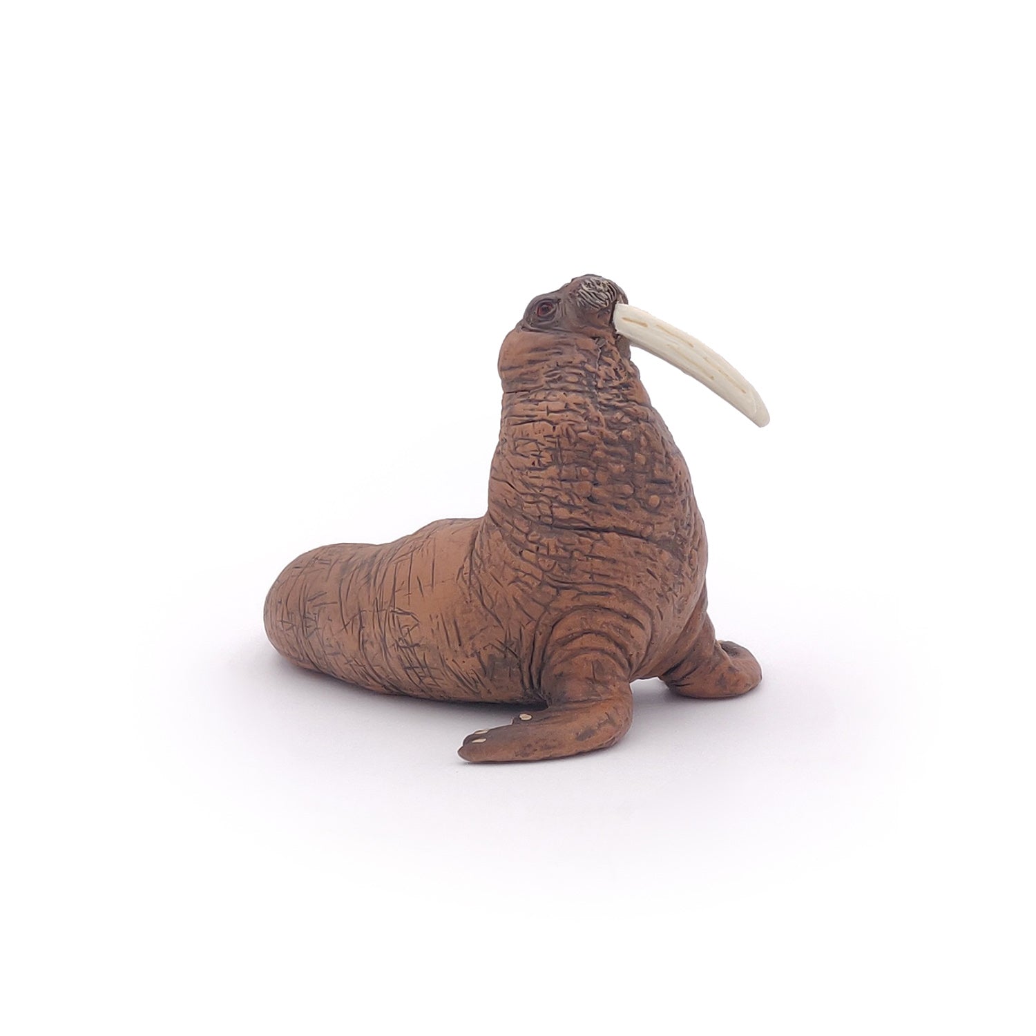 papo-marine-world-morse-figurine-animal-marin-arctique image 4
