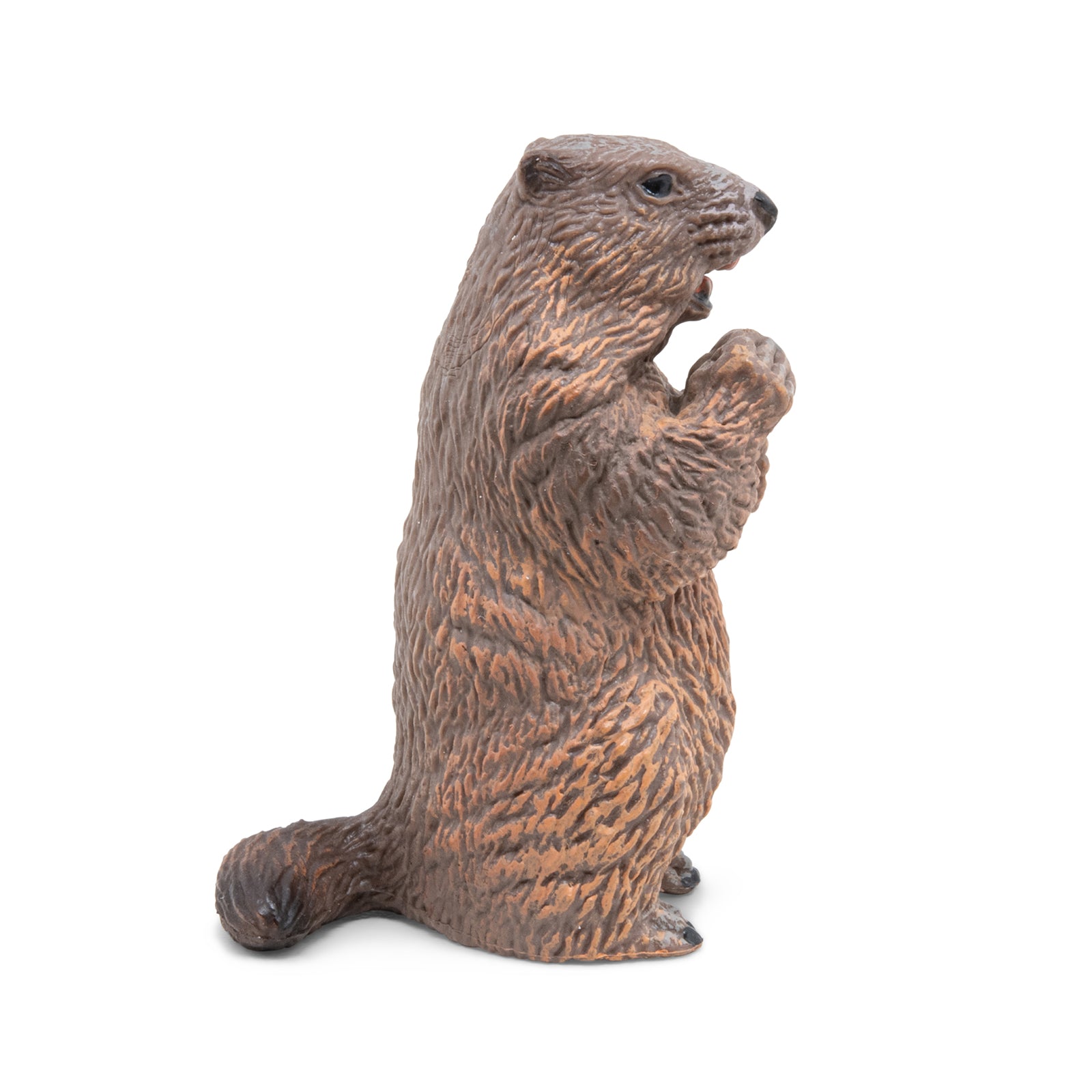 papo-wildlife-marmotte-figurine-animal-sauvage-alpin image 4