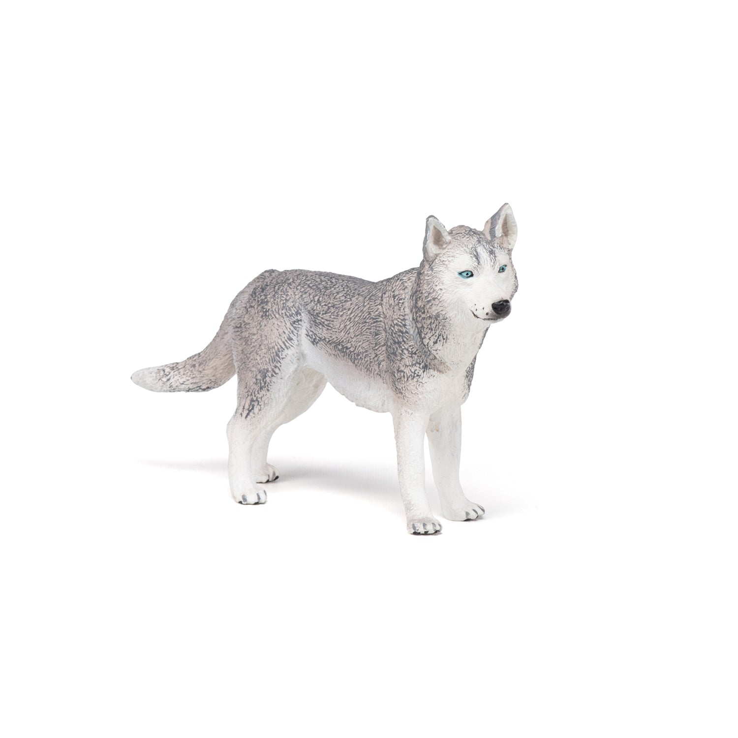 papo-dogs-cats-husky-de-sib-rie-figurine-chien-nordique image 1