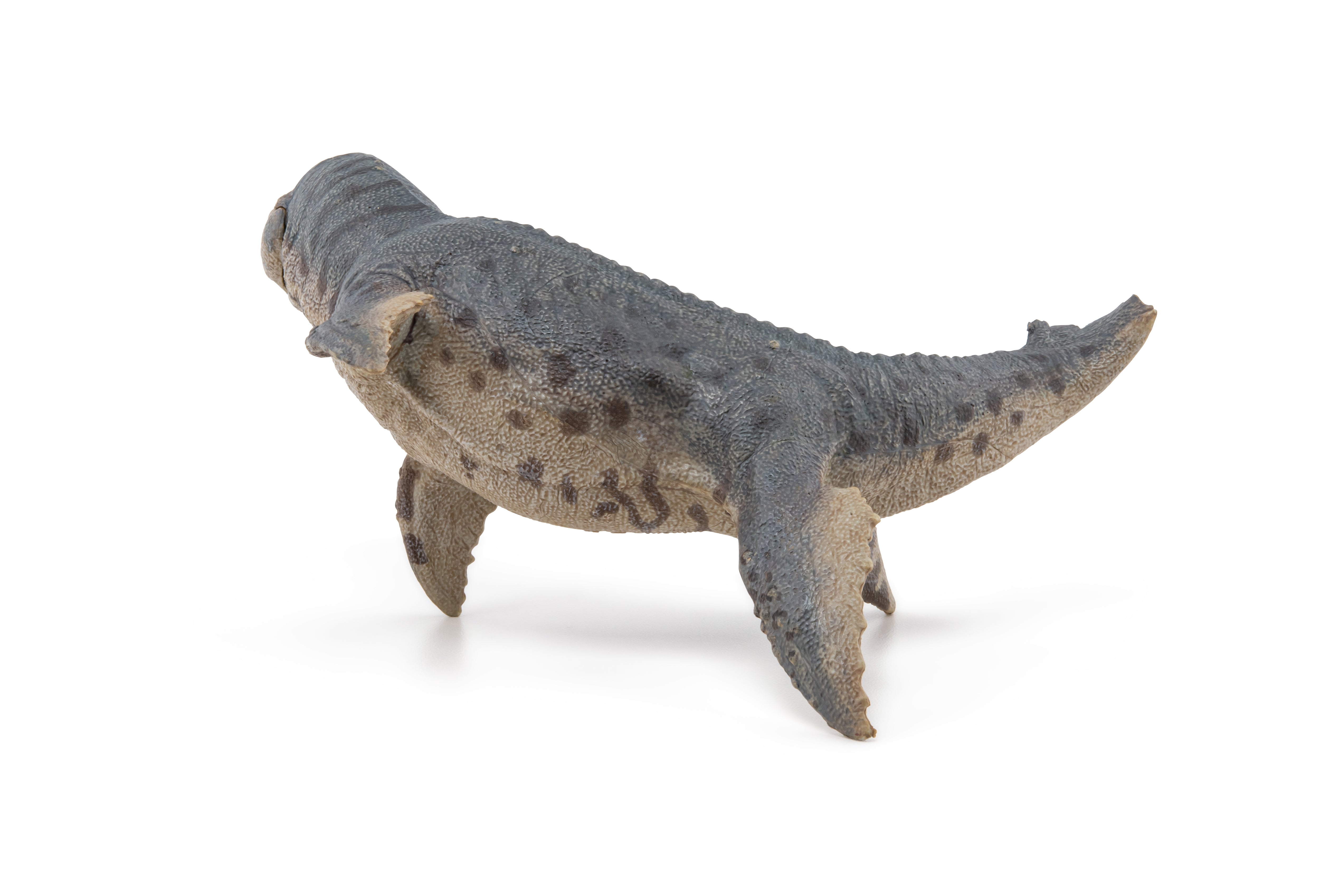 papo-dinosaurs-figurine-kronosaurus-jouet-reptile-marin-cr-tac image 7