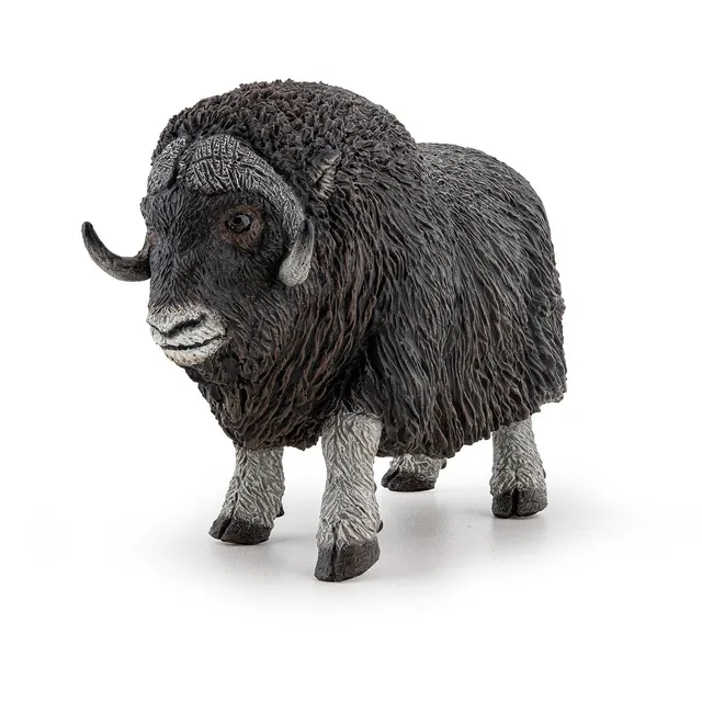 papo-wildlife-b-uf-musqu-figurine-animal-arctique image 1