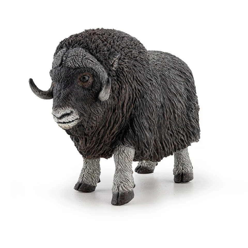 papo-wildlife-b-uf-musqu-figurine-animal-arctique image 1