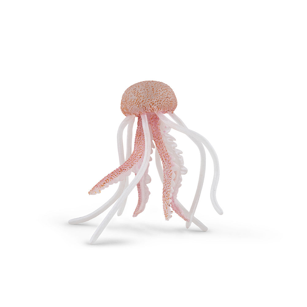 papo-marine-world-m-duse-figurine-marine image 1
