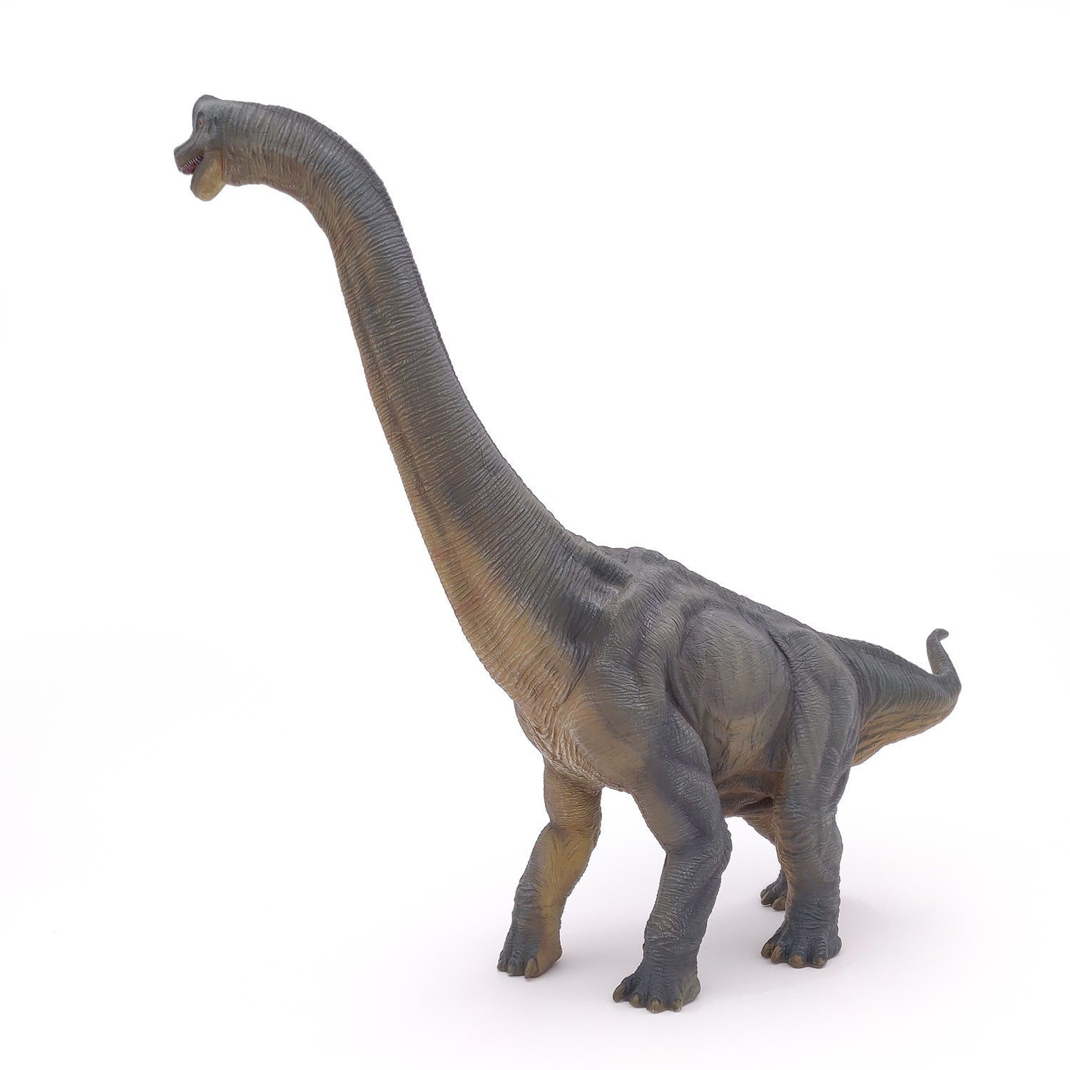 papo-dinosaurs-brachiosaure-figurine-dinosaure-herbivore-jurassique image 4