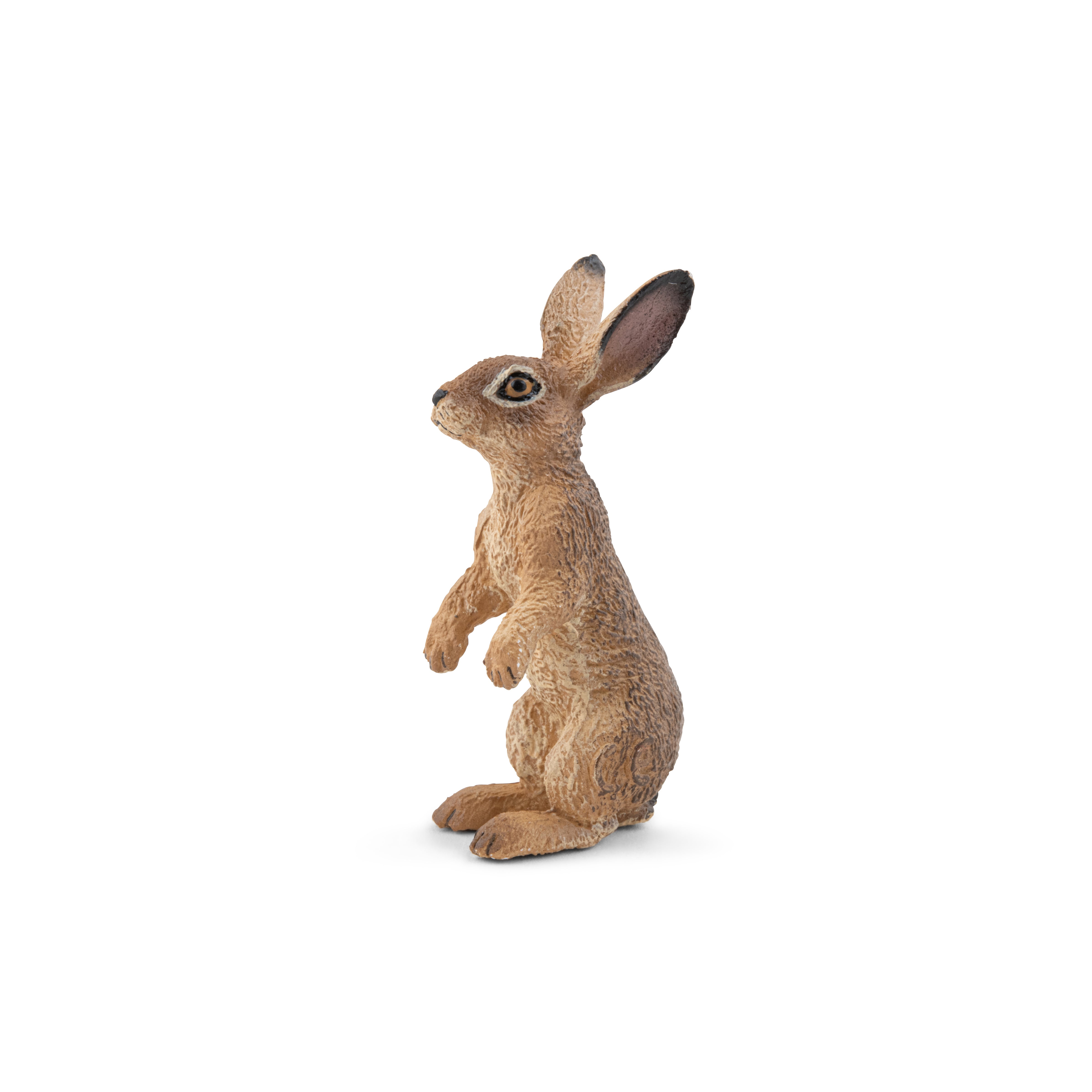 papo-wildlife-figurine-li-vre-debout image 4