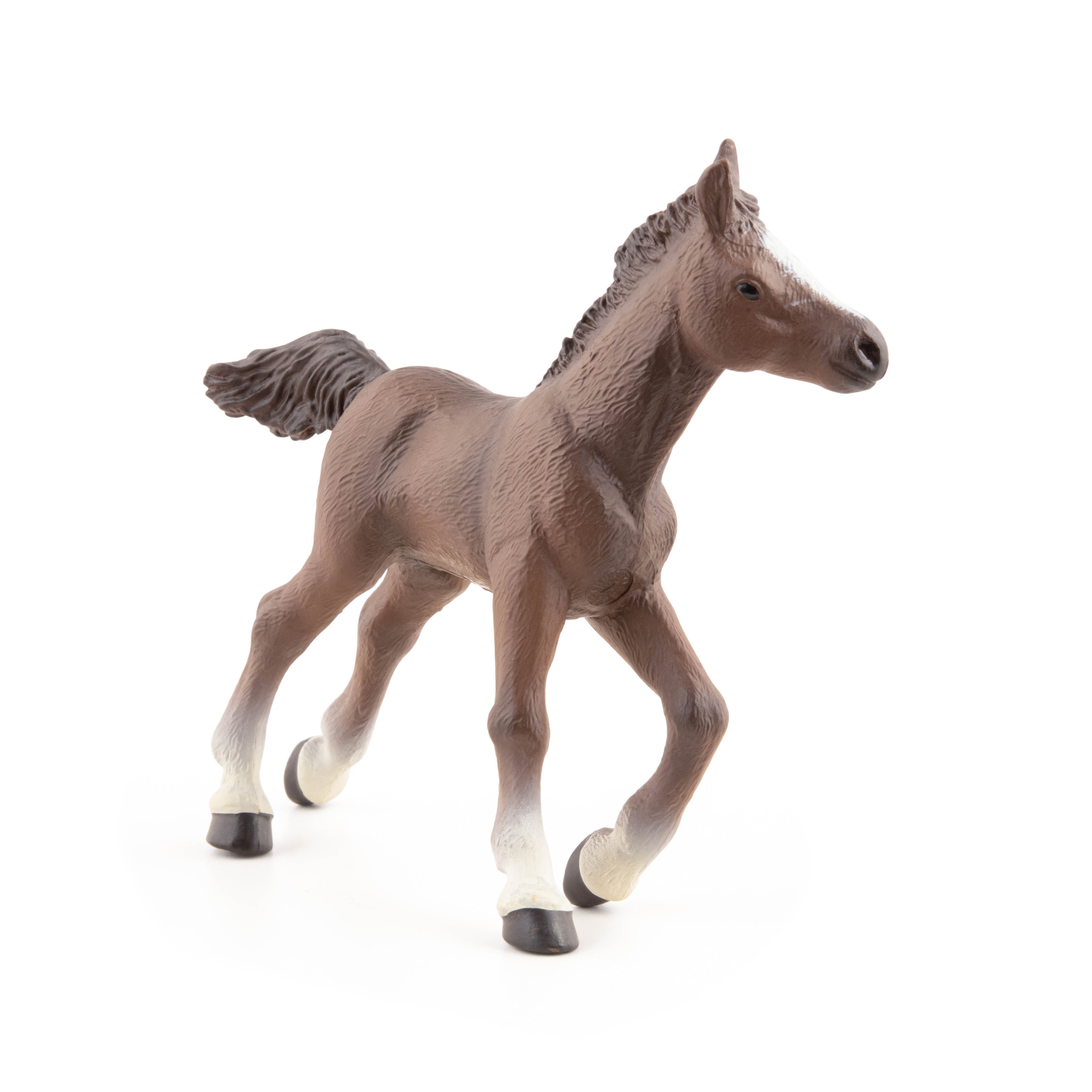 papo-chevaux-poulain-anglo-arabe-figurine-bai image 4