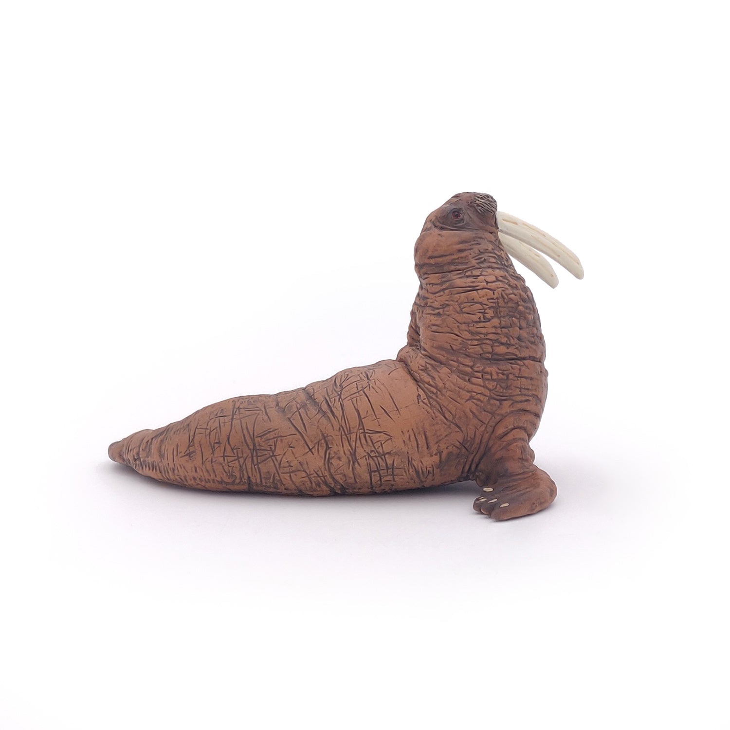 papo-marine-world-morse-figurine-animal-marin-arctique image 5