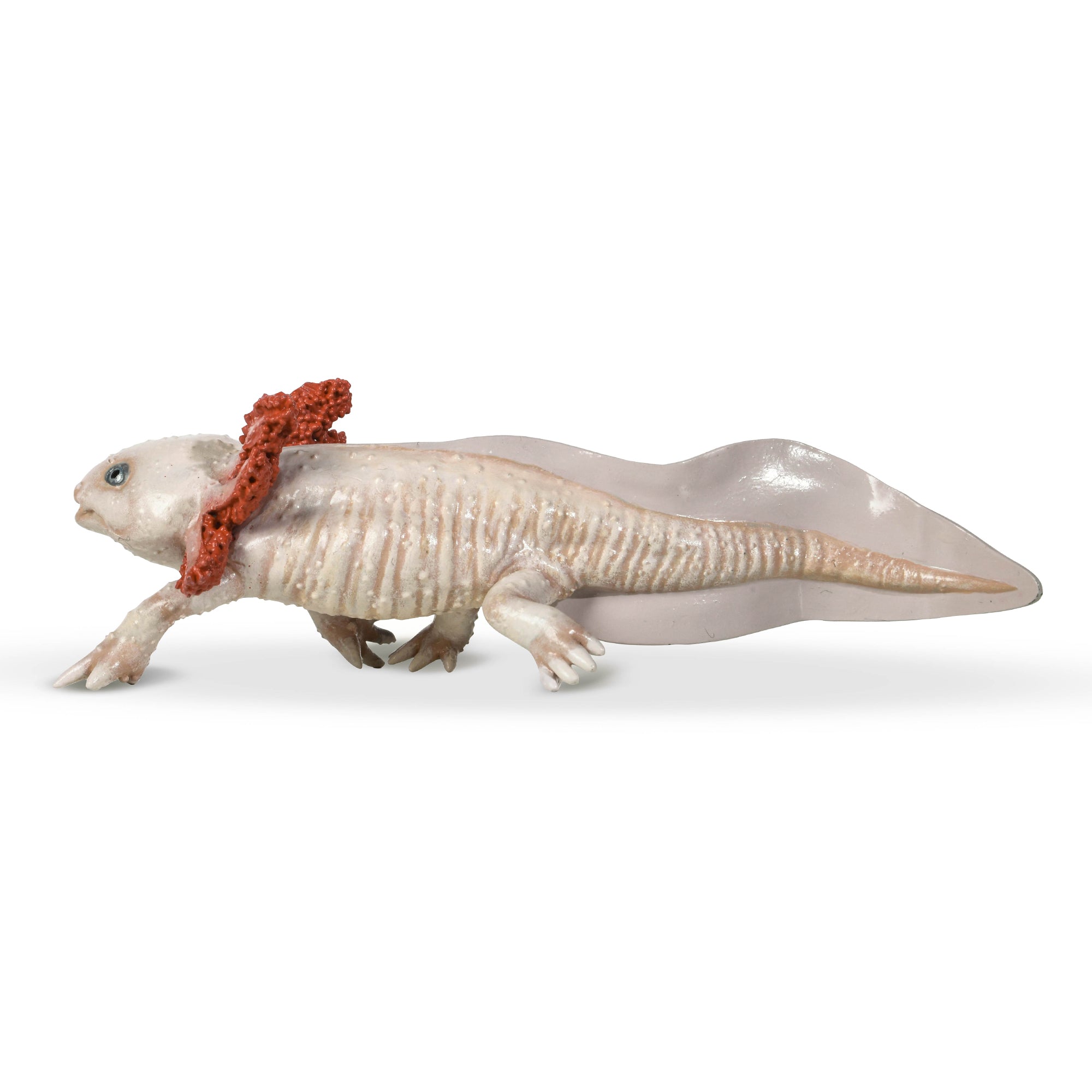 papo-wildlife-axolotl-figurine-amphibien-mexique image 4