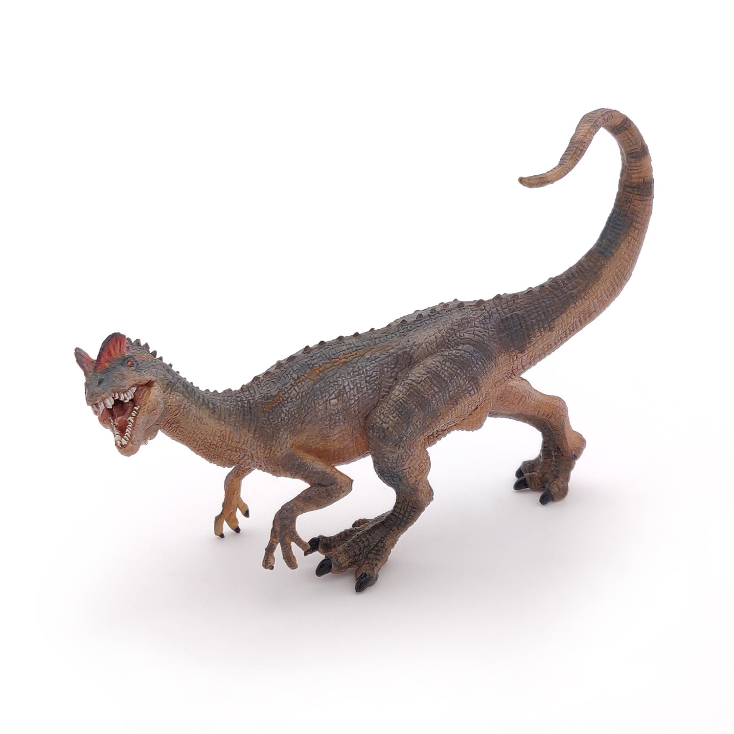 papo-dinosaures-figurine-dilophosaure-carnivore-jurassique image 3
