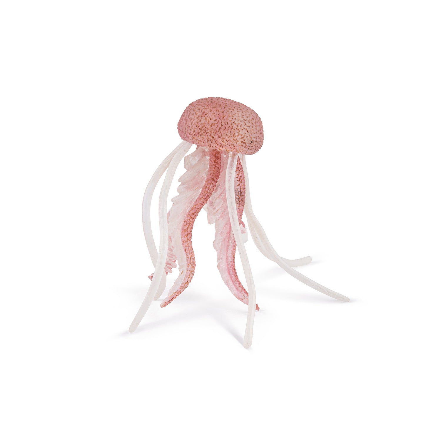 papo-marine-world-m-duse-figurine-marine image 4