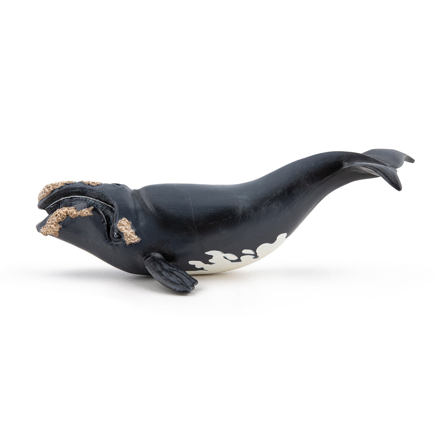 papo-marine-world-baleine-franche-figurine-c-tac-plancton image 2